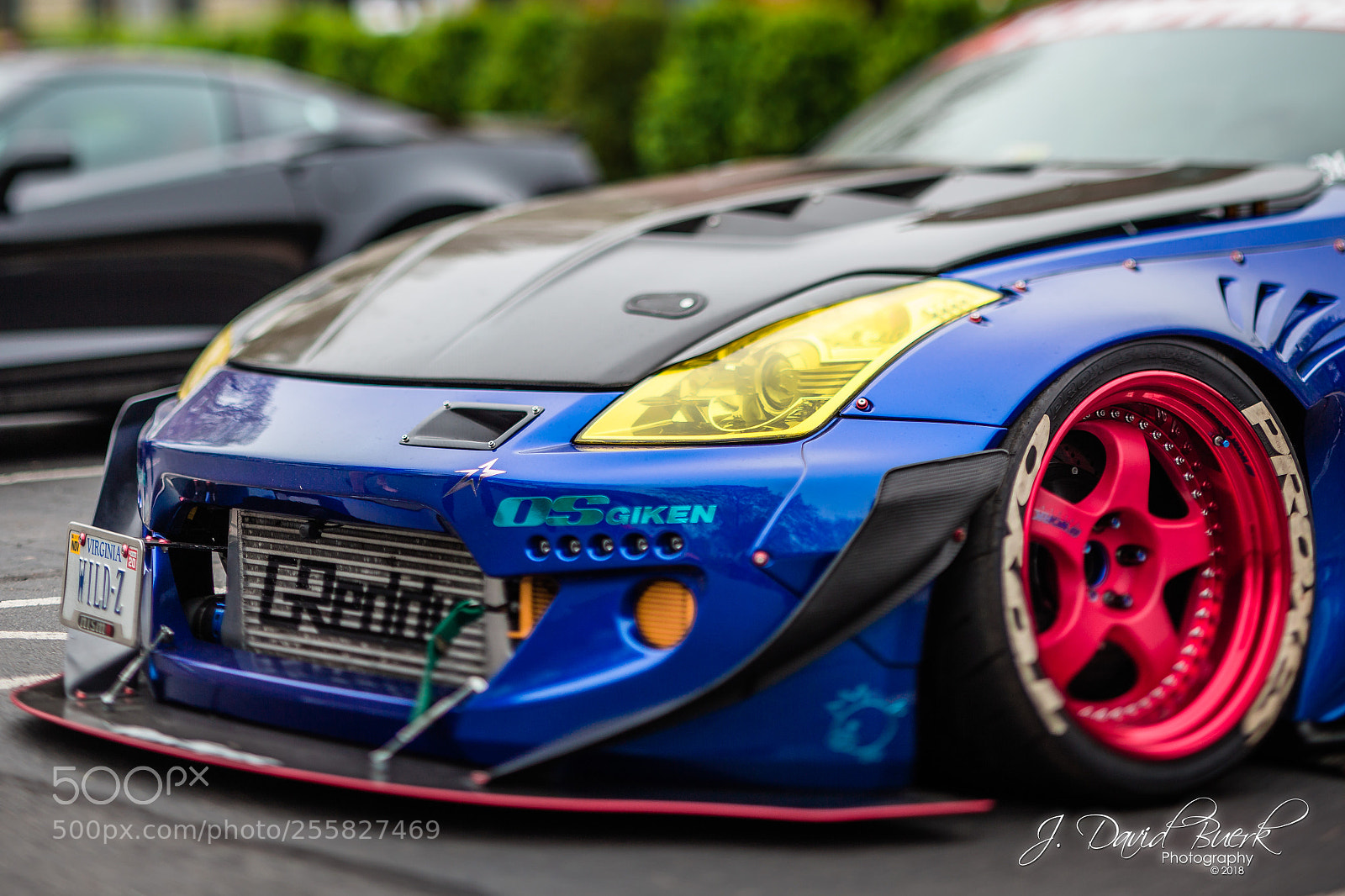 Canon EOS-1D X sample photo. Scared to be lonely photography