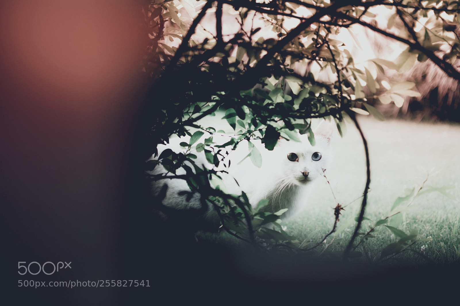 Nikon D7100 sample photo. Untitled photography