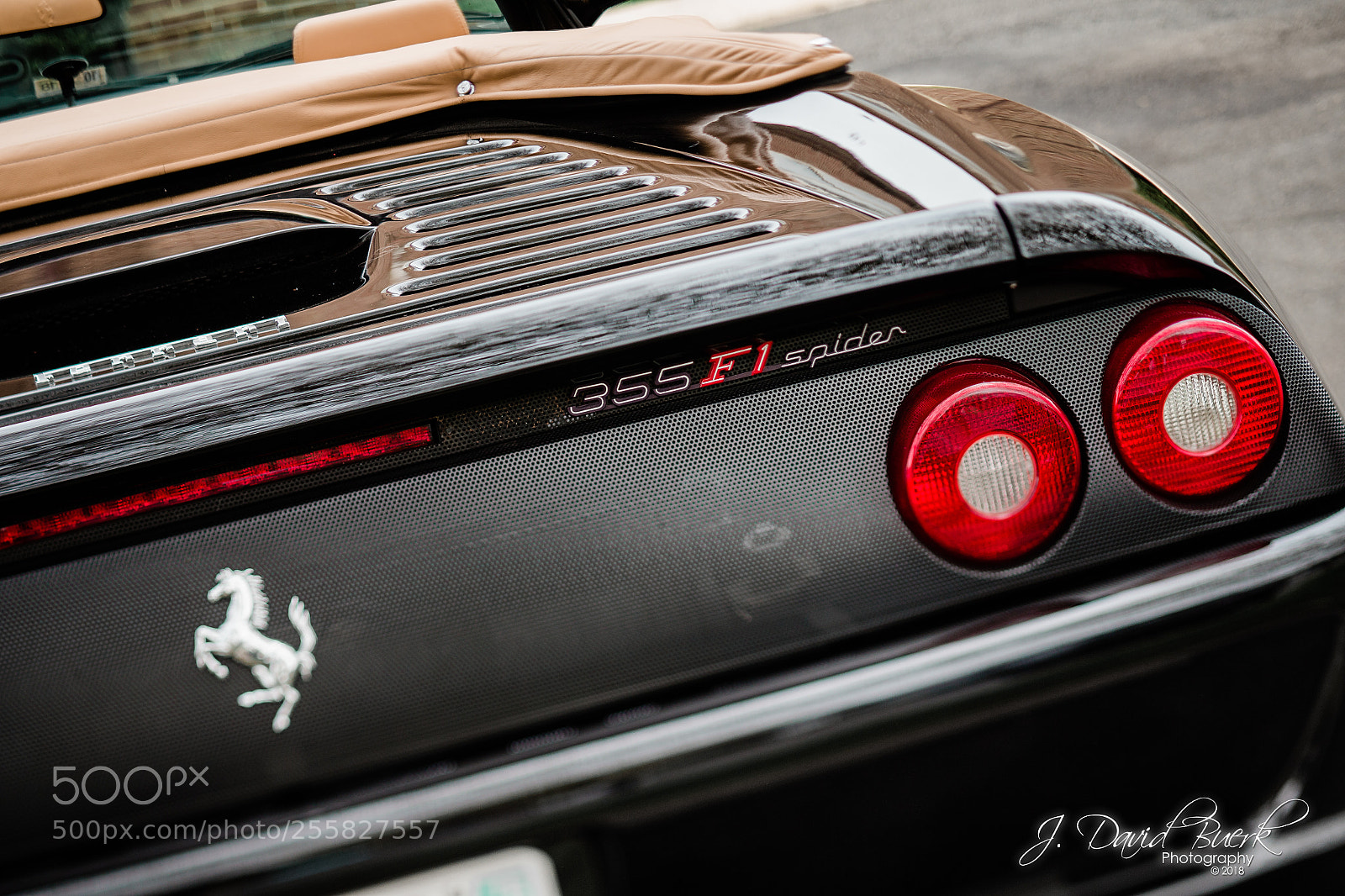 Canon EOS-1D X sample photo. Scared to be lonely photography