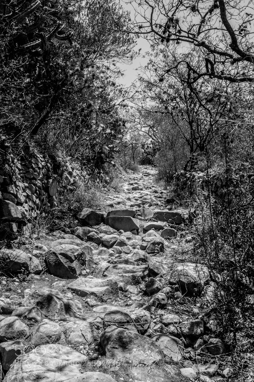 Nikon D5200 sample photo. Peña de bernal photography