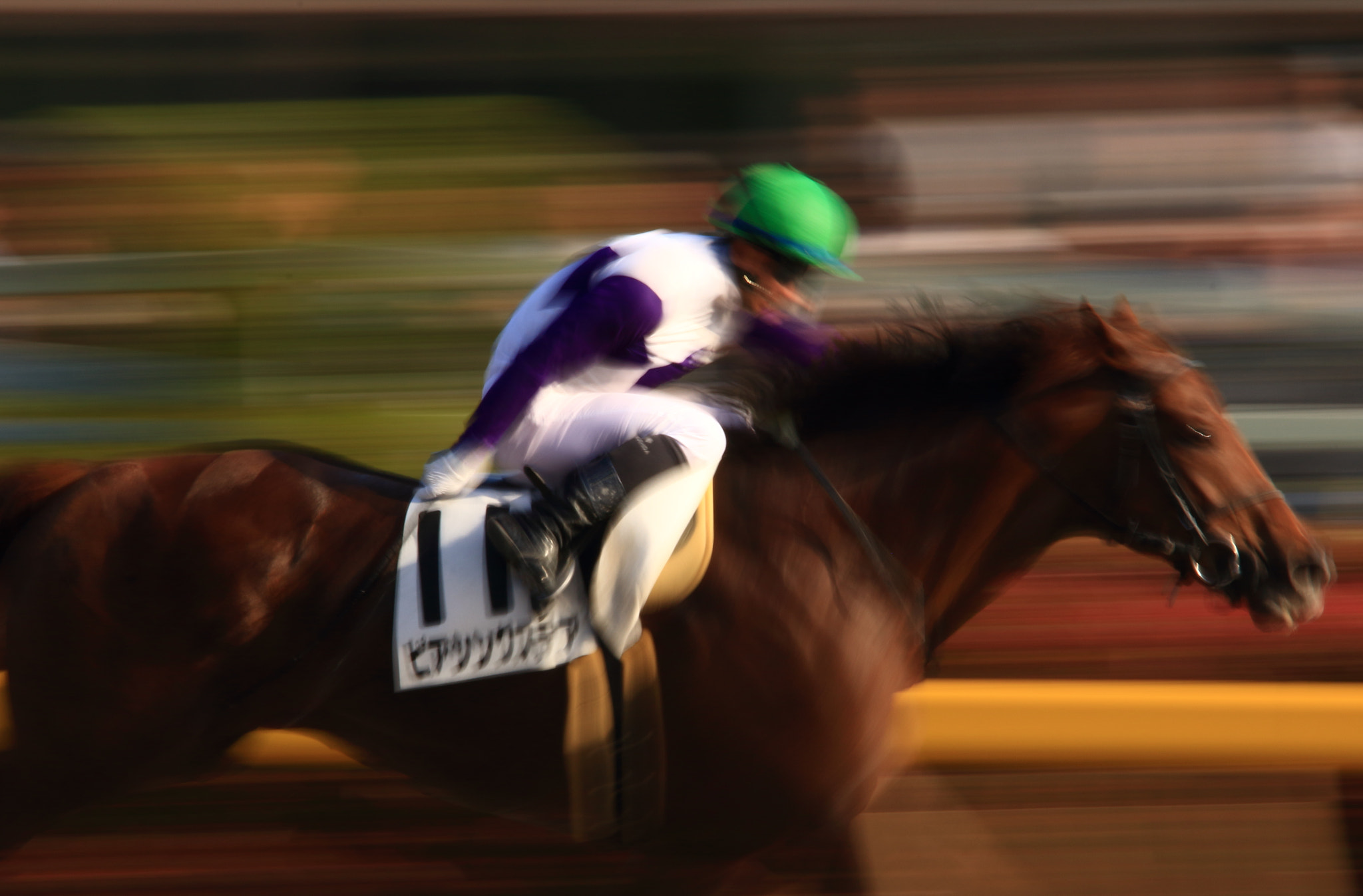 Sigma 150-600mm F5-6.3 DG OS HSM | C sample photo. Horse race photography