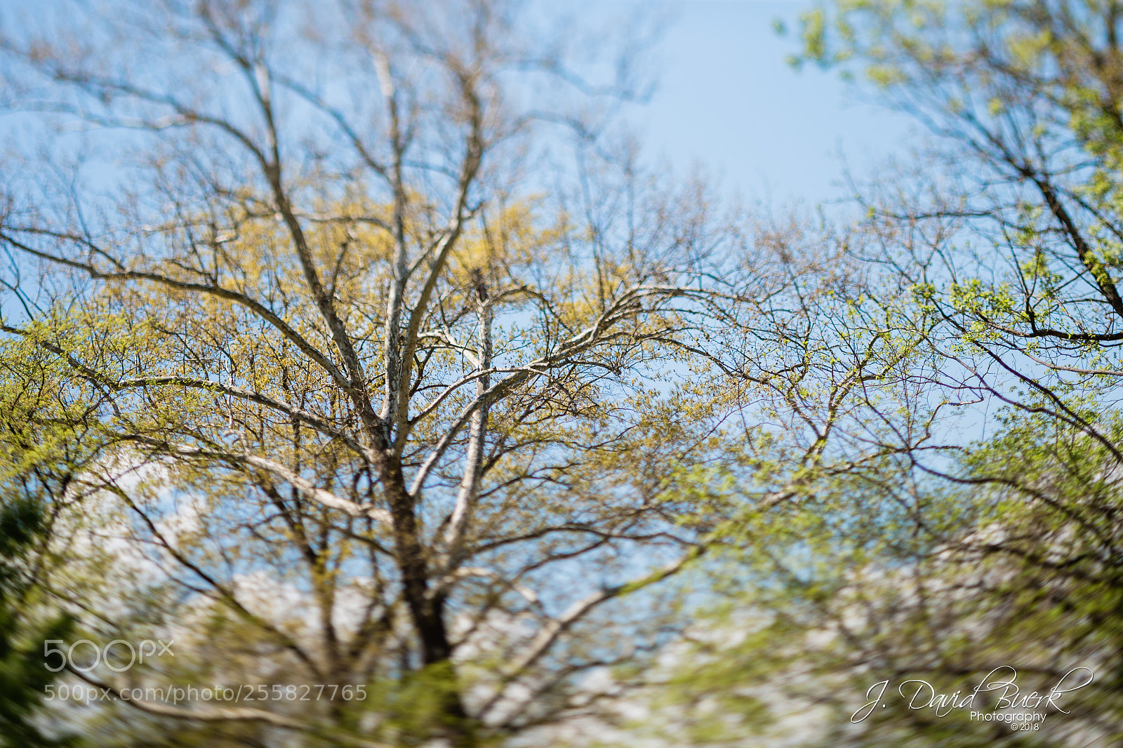 Canon EOS-1D X sample photo. Scared to be lonely photography