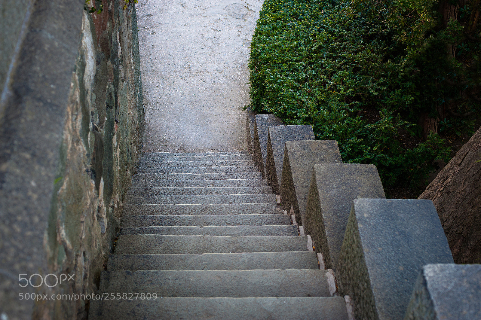 Nikon D700 sample photo. Old stone staircase in photography