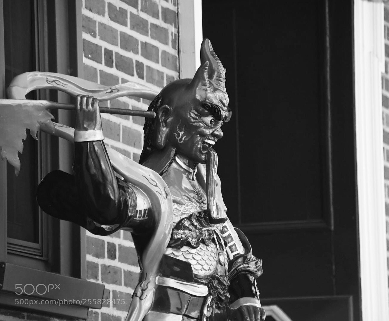 Nikon D7500 sample photo. Untitled photography