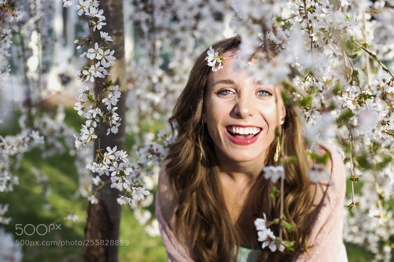 Canon EOS 6D sample photo. Heather floral photography