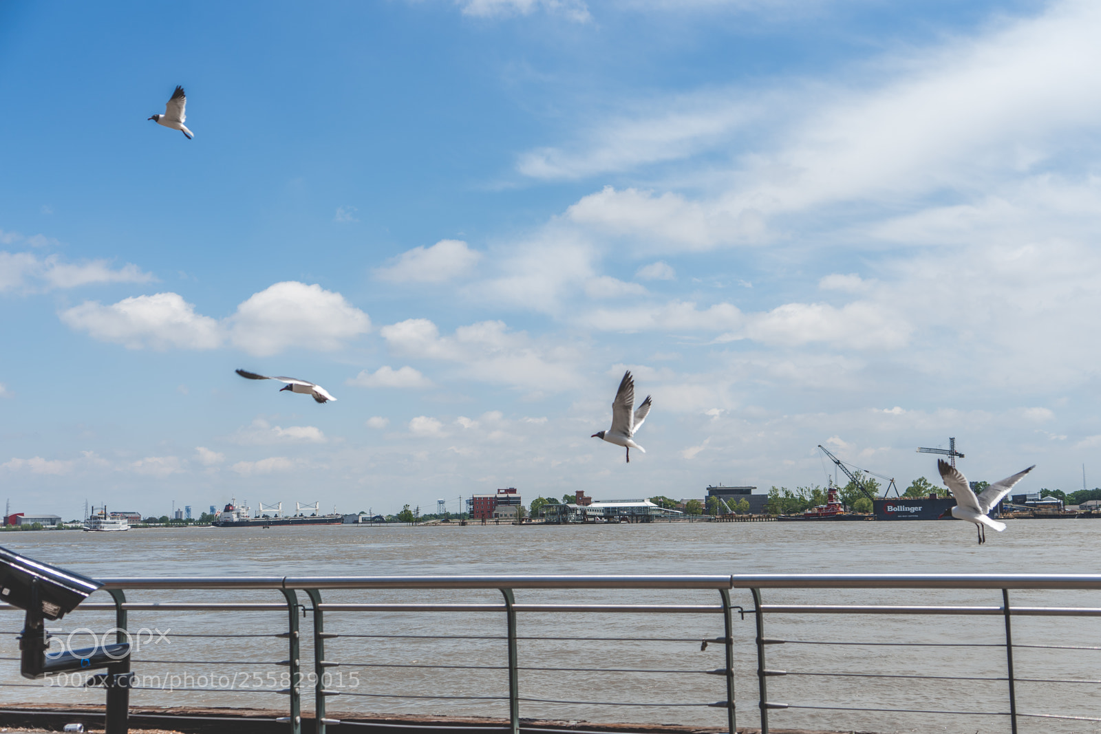 Sony a7 sample photo. The pier photography
