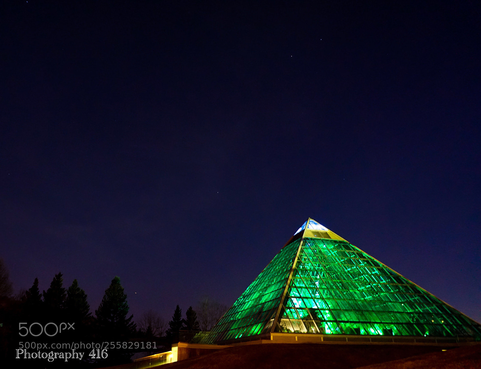 Sony a6000 sample photo. Muttart conservatory photography