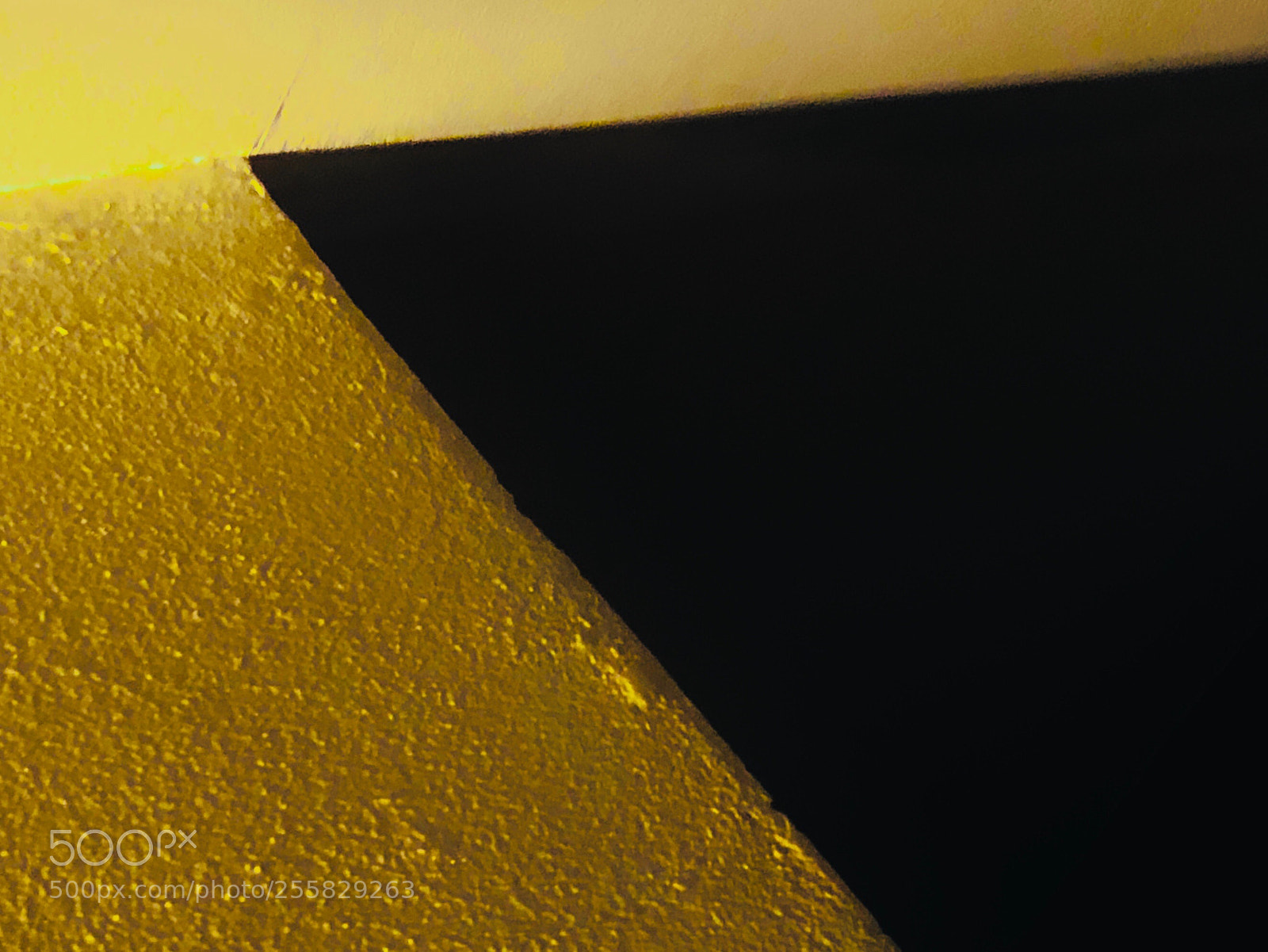Apple iPhone 8 Plus sample photo. Black in yellow photography