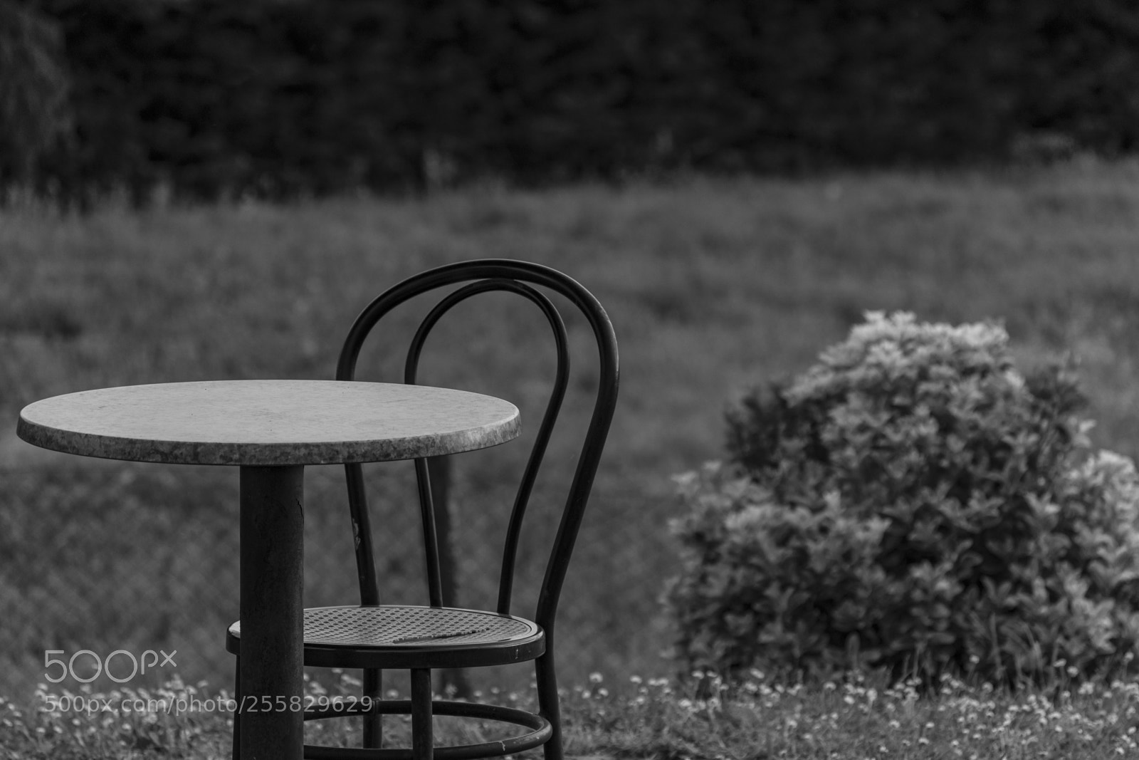 Nikon D3300 sample photo. Loneliness photography