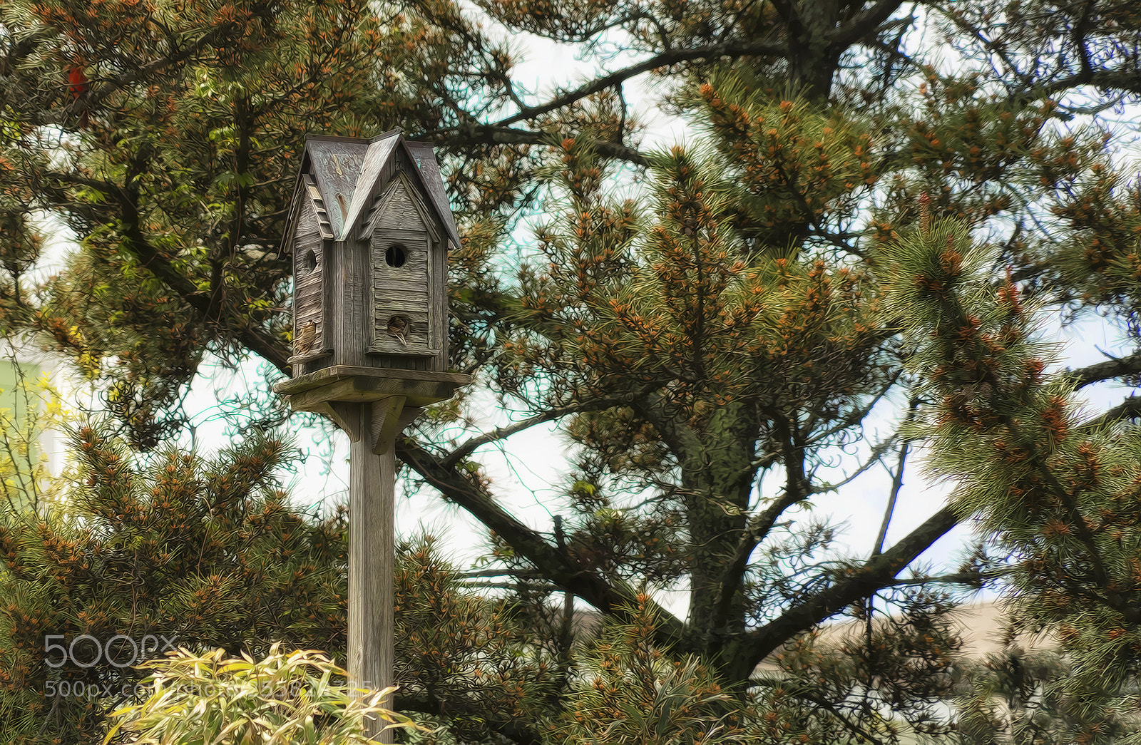 Sony a7R III sample photo. Stylized birdhouse at the photography