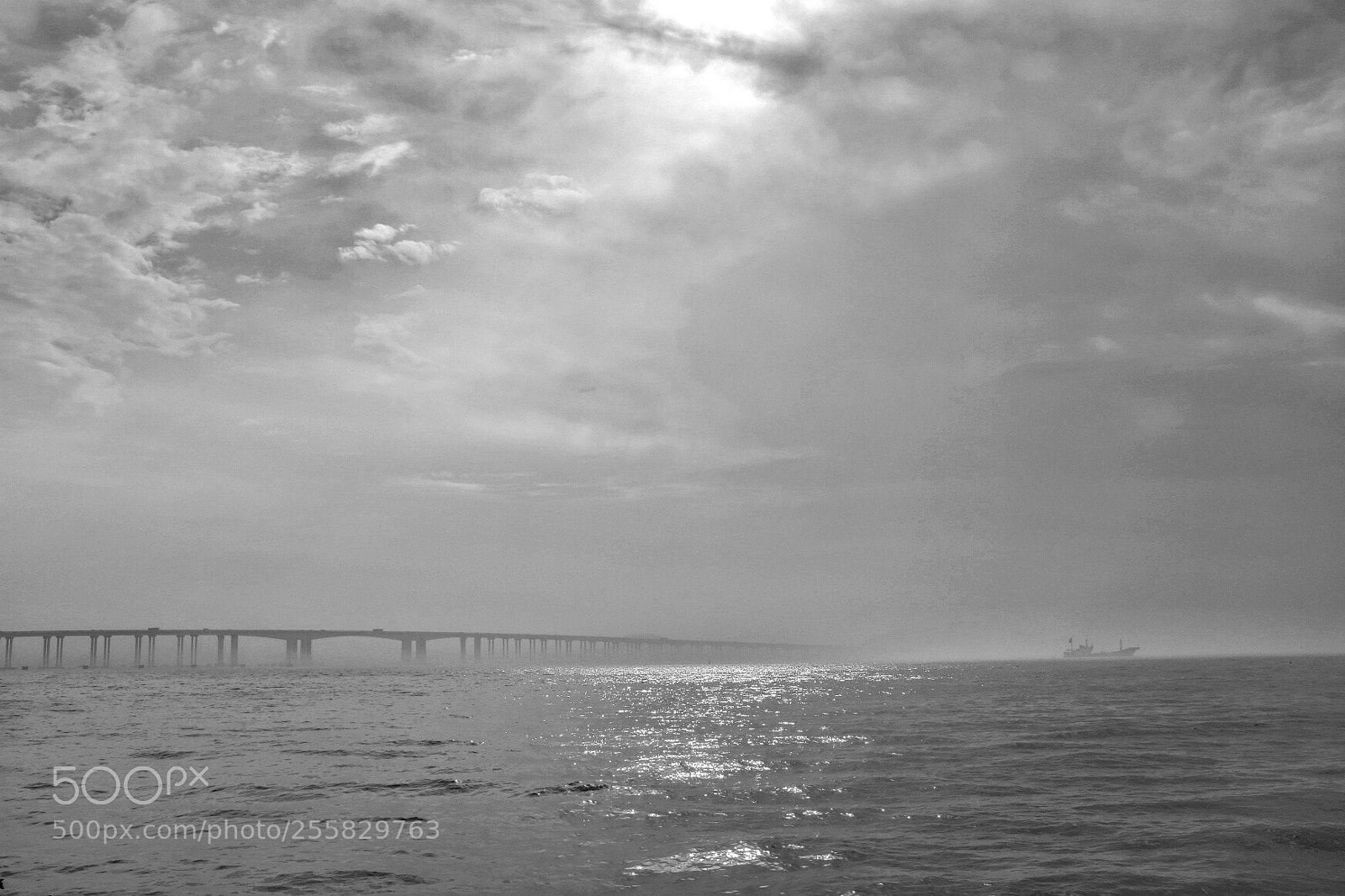 Fujifilm X100F sample photo. Untitled photography