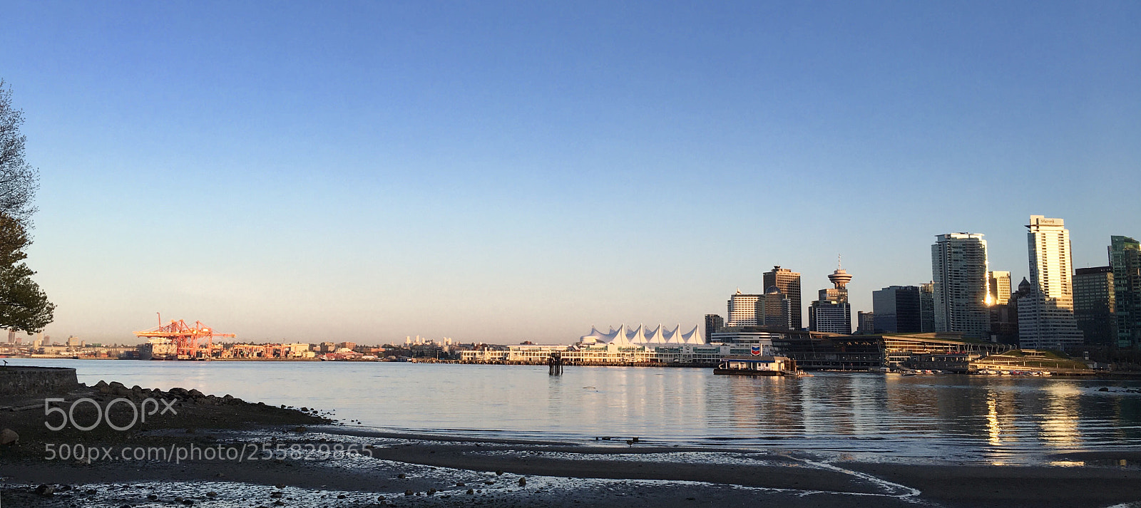 Apple iPhone 6s sample photo. Vancouver skyline photography
