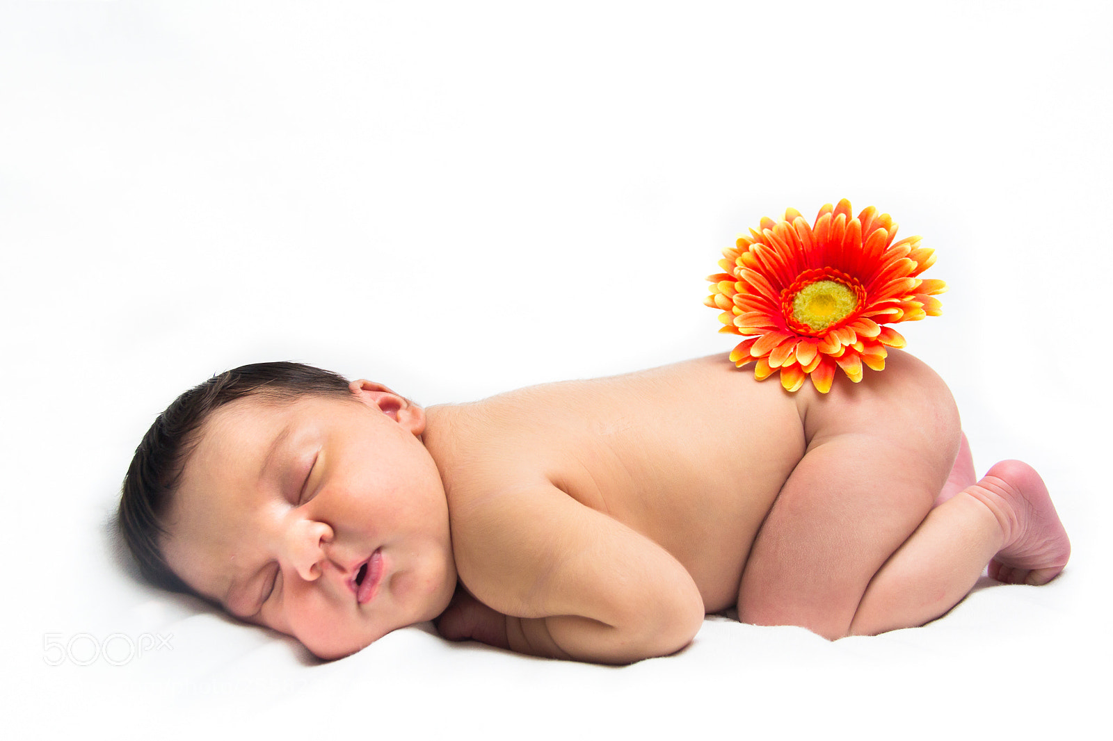 Canon EOS 60D sample photo. Sleeping flower photography
