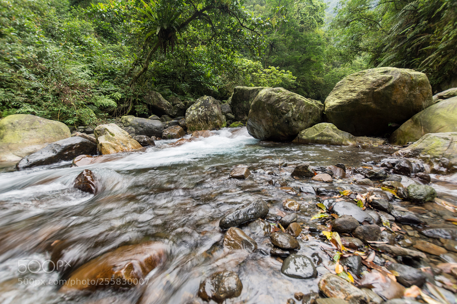 Nikon D7100 sample photo. River photography