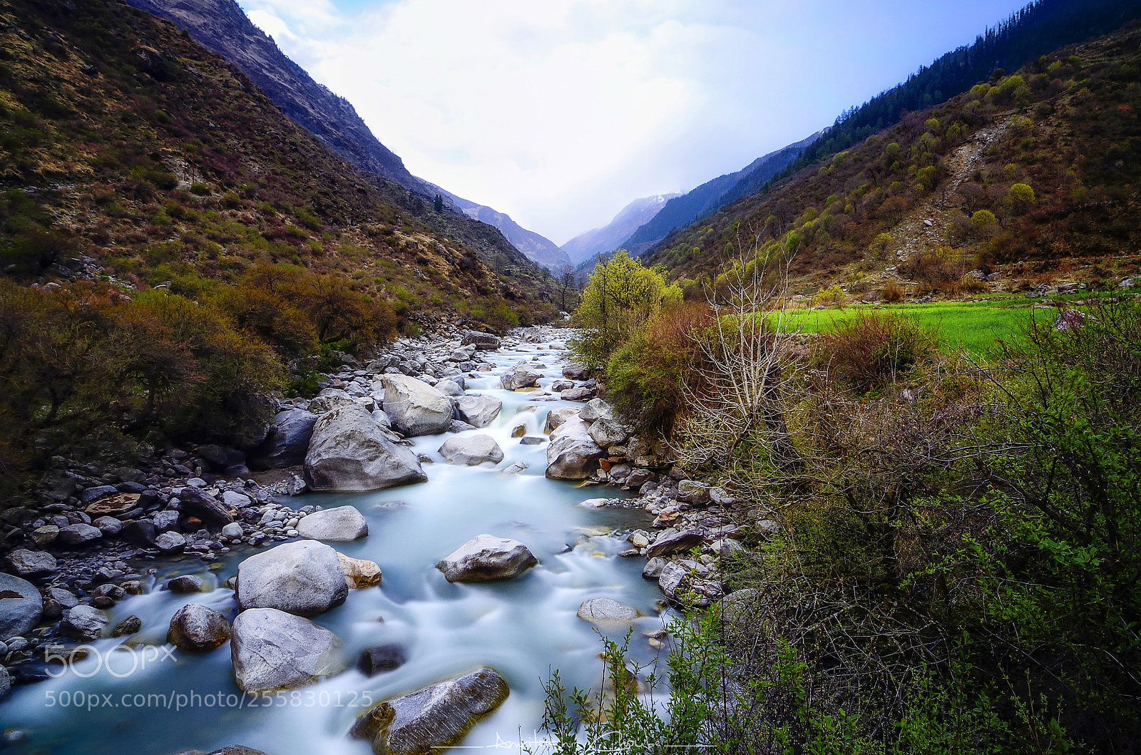 Nikon D7000 sample photo. Colors in valley of photography