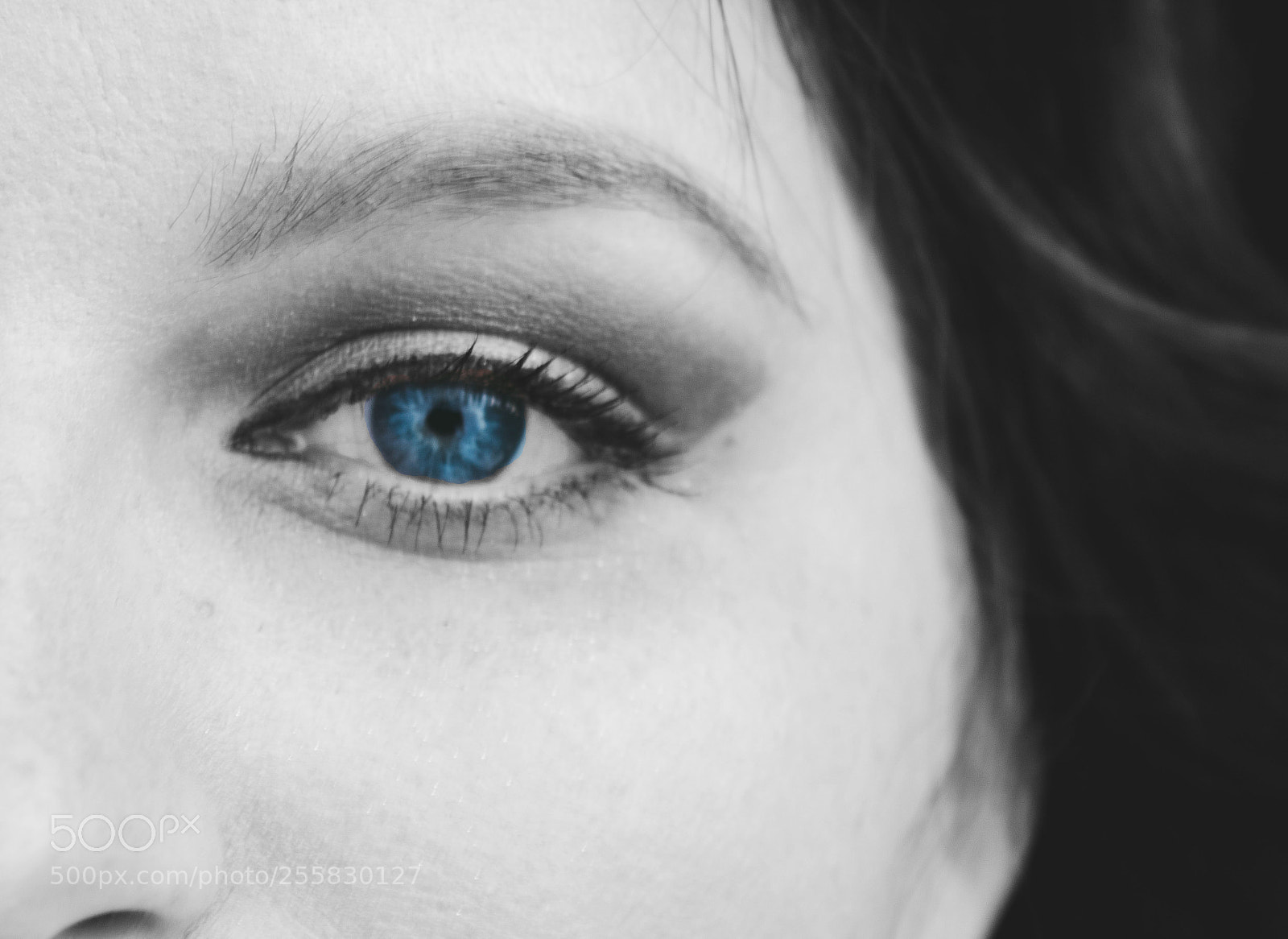 Canon EOS 750D (EOS Rebel T6i / EOS Kiss X8i) sample photo. Black and white eye photography