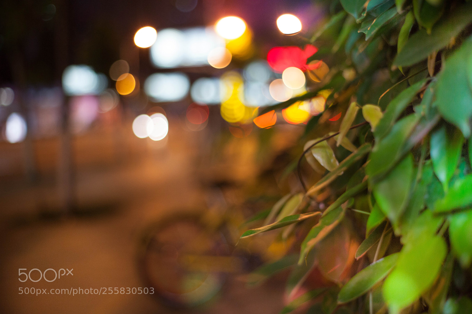 Canon EOS 5D Mark II sample photo. Untitled photography