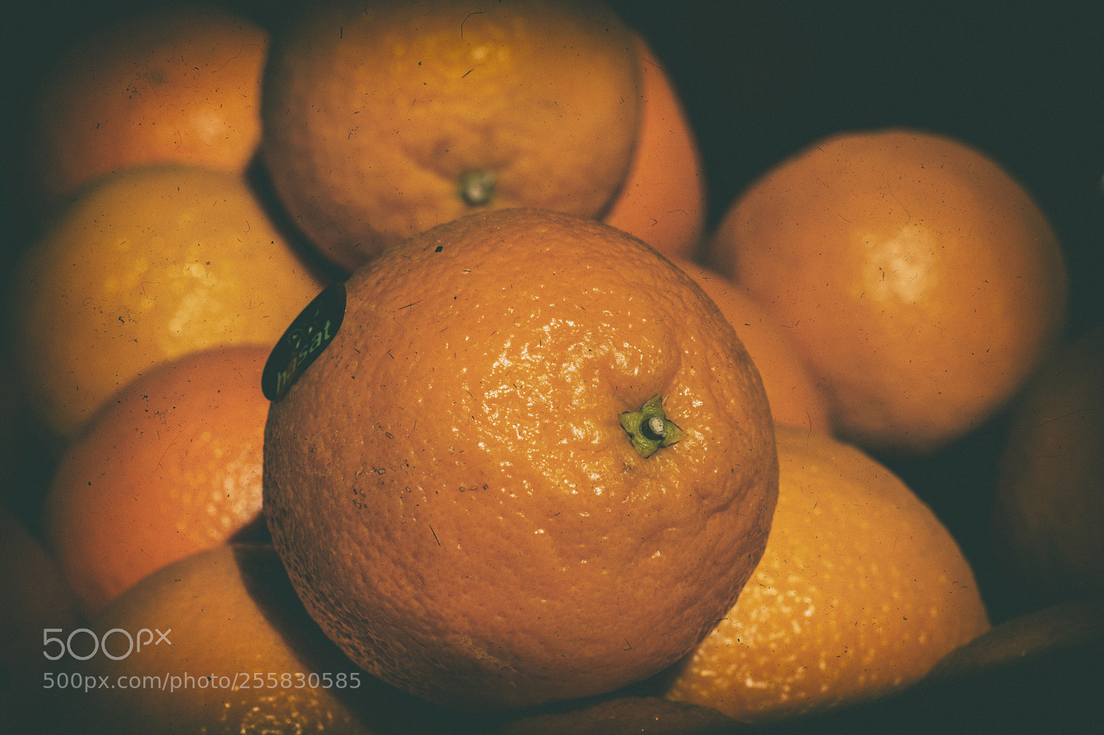 Nikon D7200 sample photo. Oranges photography