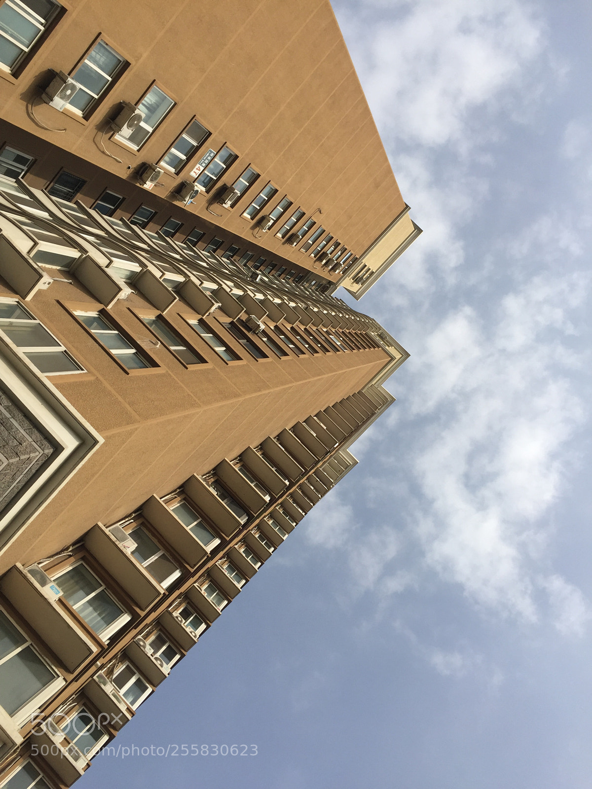 Apple iPhone 6 sample photo. Untitled photography