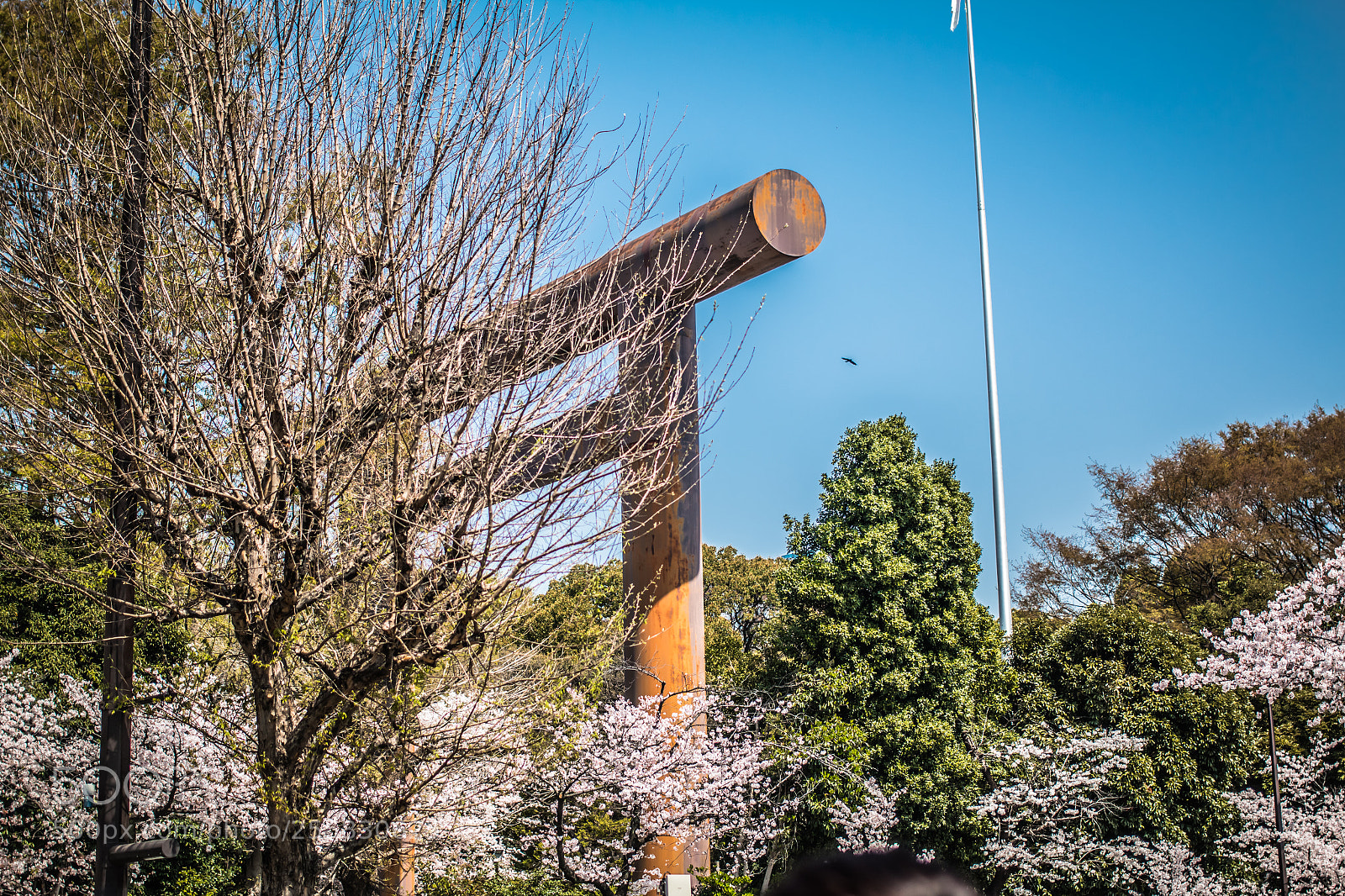 Canon EOS 70D sample photo. Tokyo arch photography