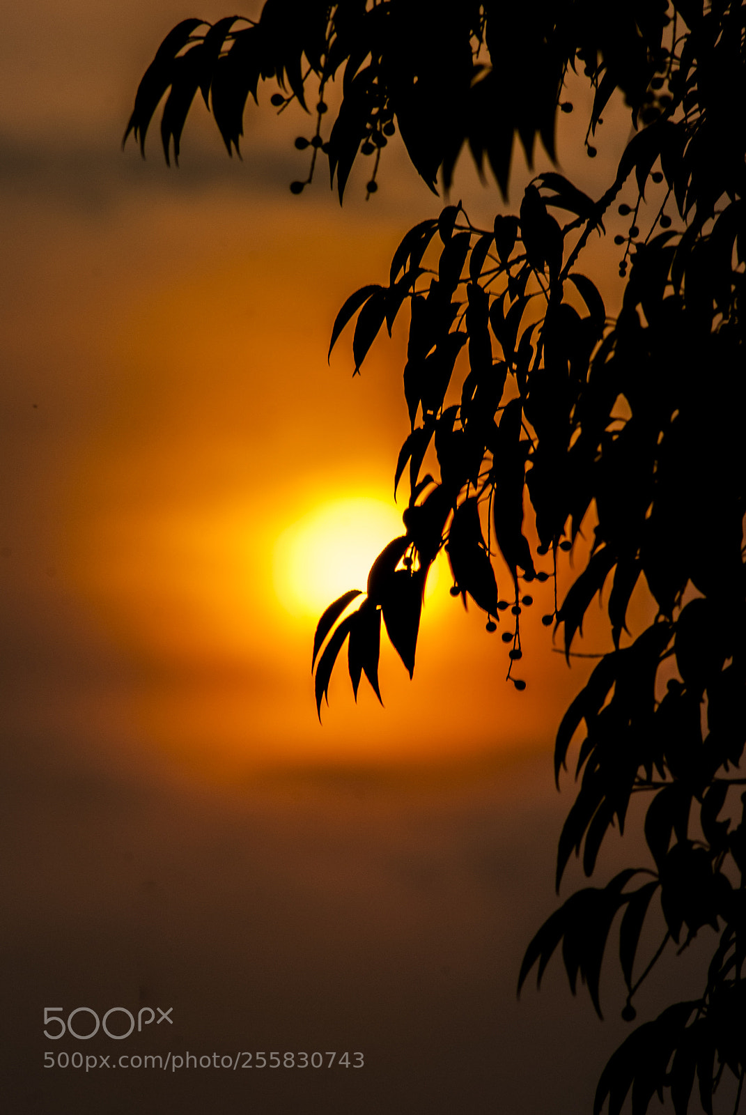 Nikon D3000 sample photo. Amanecer photography