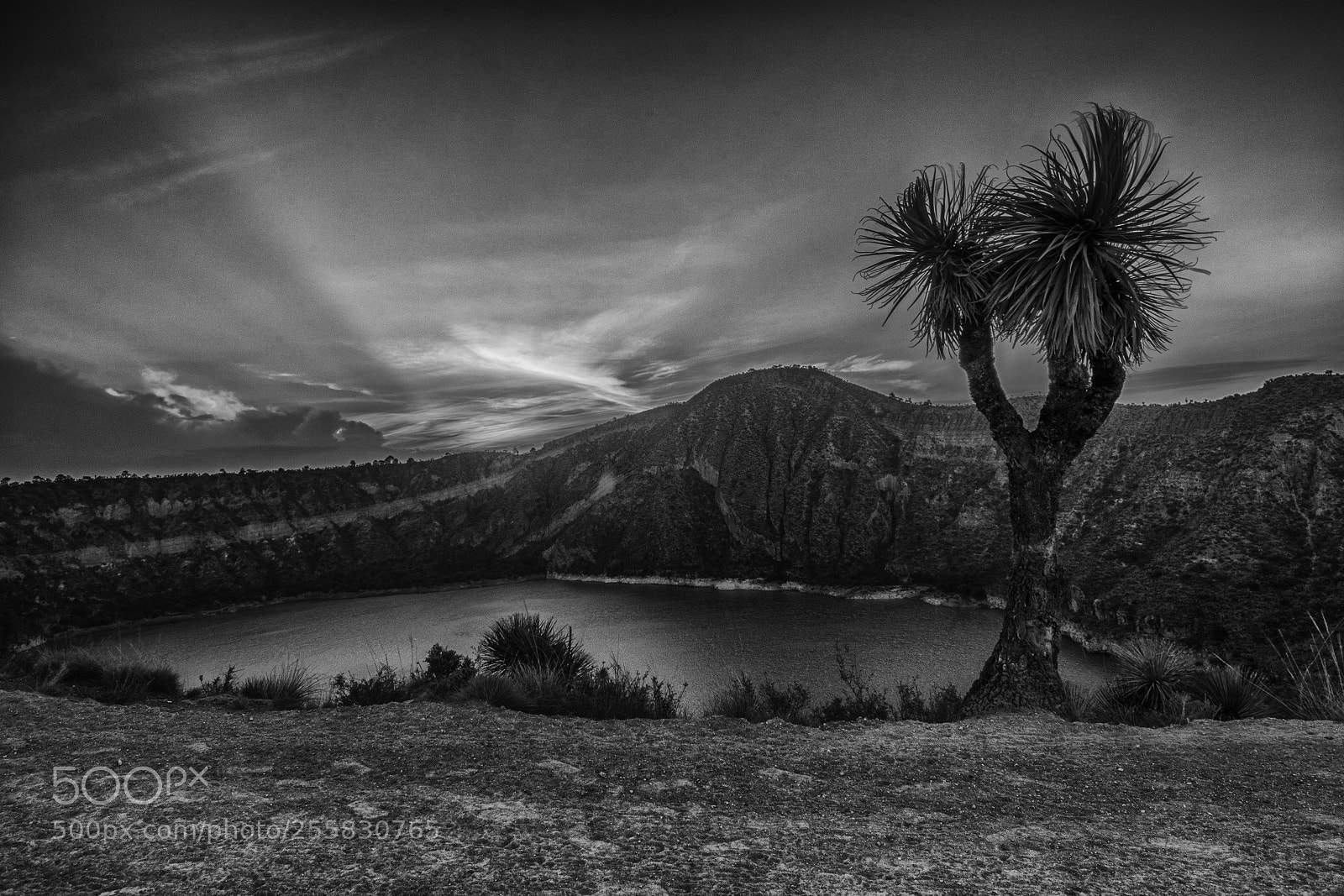 Nikon D7000 sample photo. Texcac lake photography