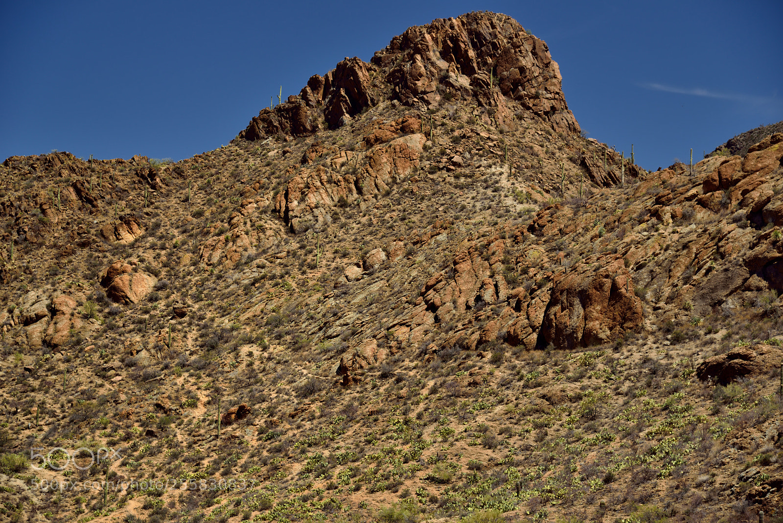 Nikon D800E sample photo. The rugged landscape up photography