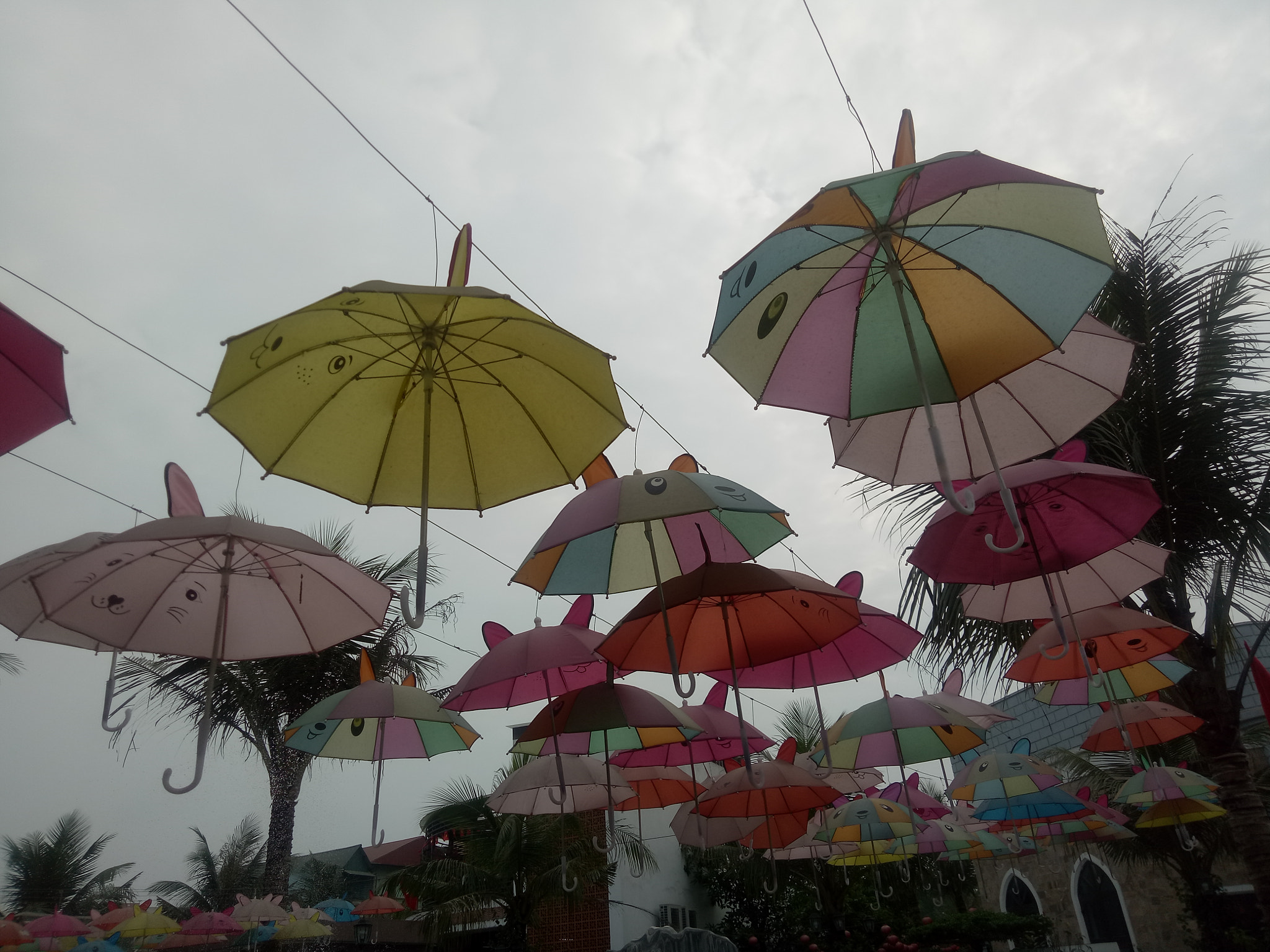 OPPO CPH1609 sample photo. Funny photography