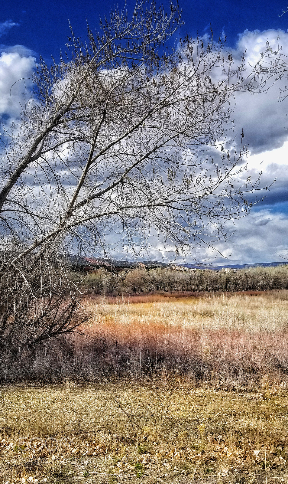 Samsung Galaxy S8+ sample photo. Near vernal, wyoming photography