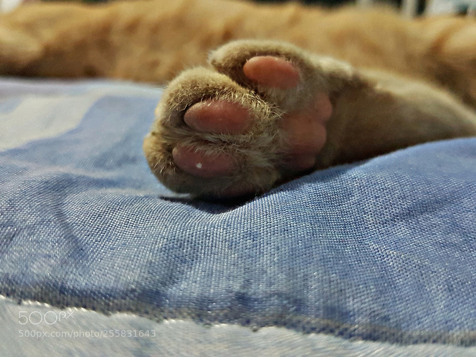 Samsung Galaxy S7 Edge sample photo. Untitled photography