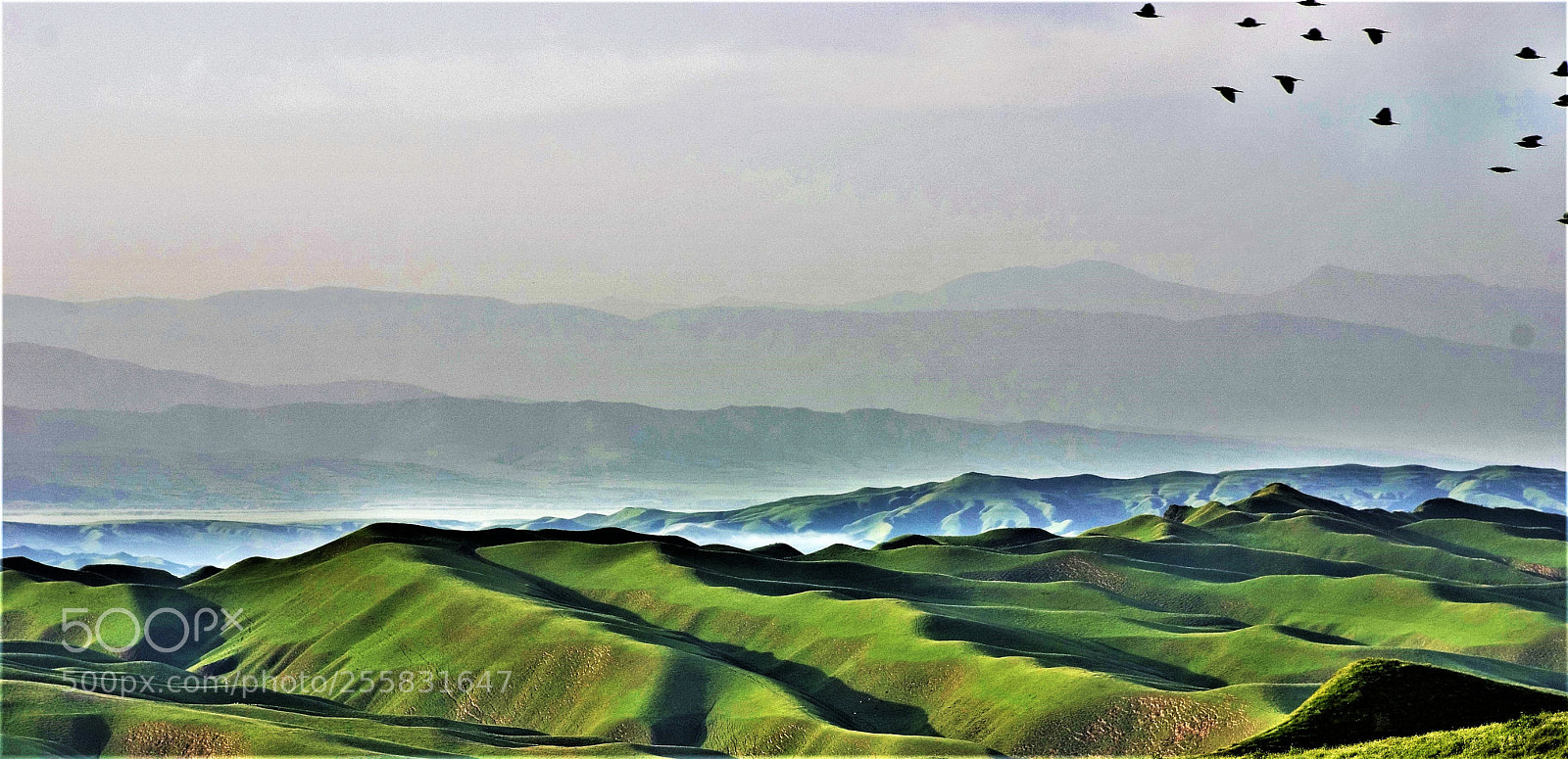 Pentax K10D sample photo. Golestan province photography