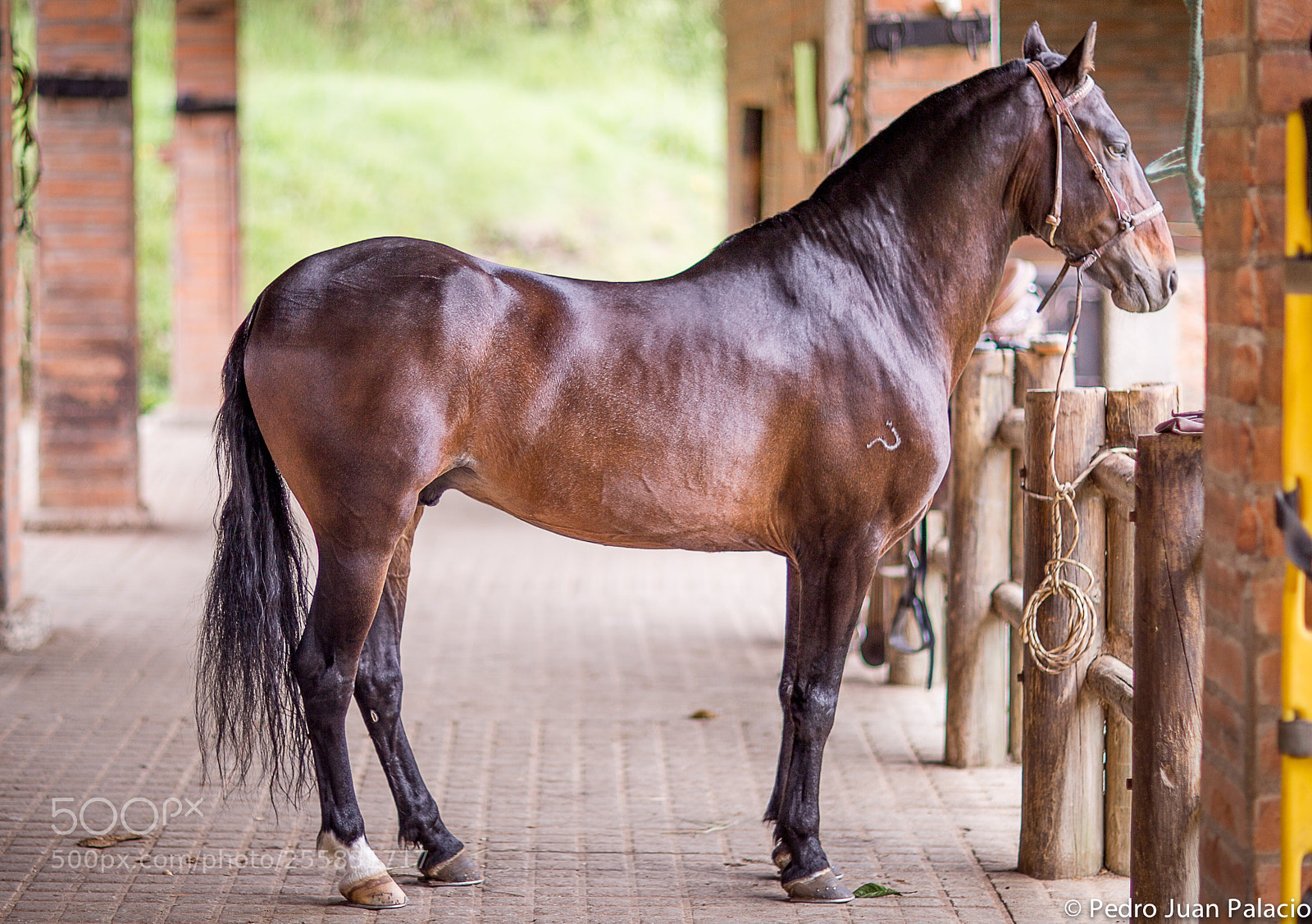 Canon EOS 6D sample photo. Tormento
 photography