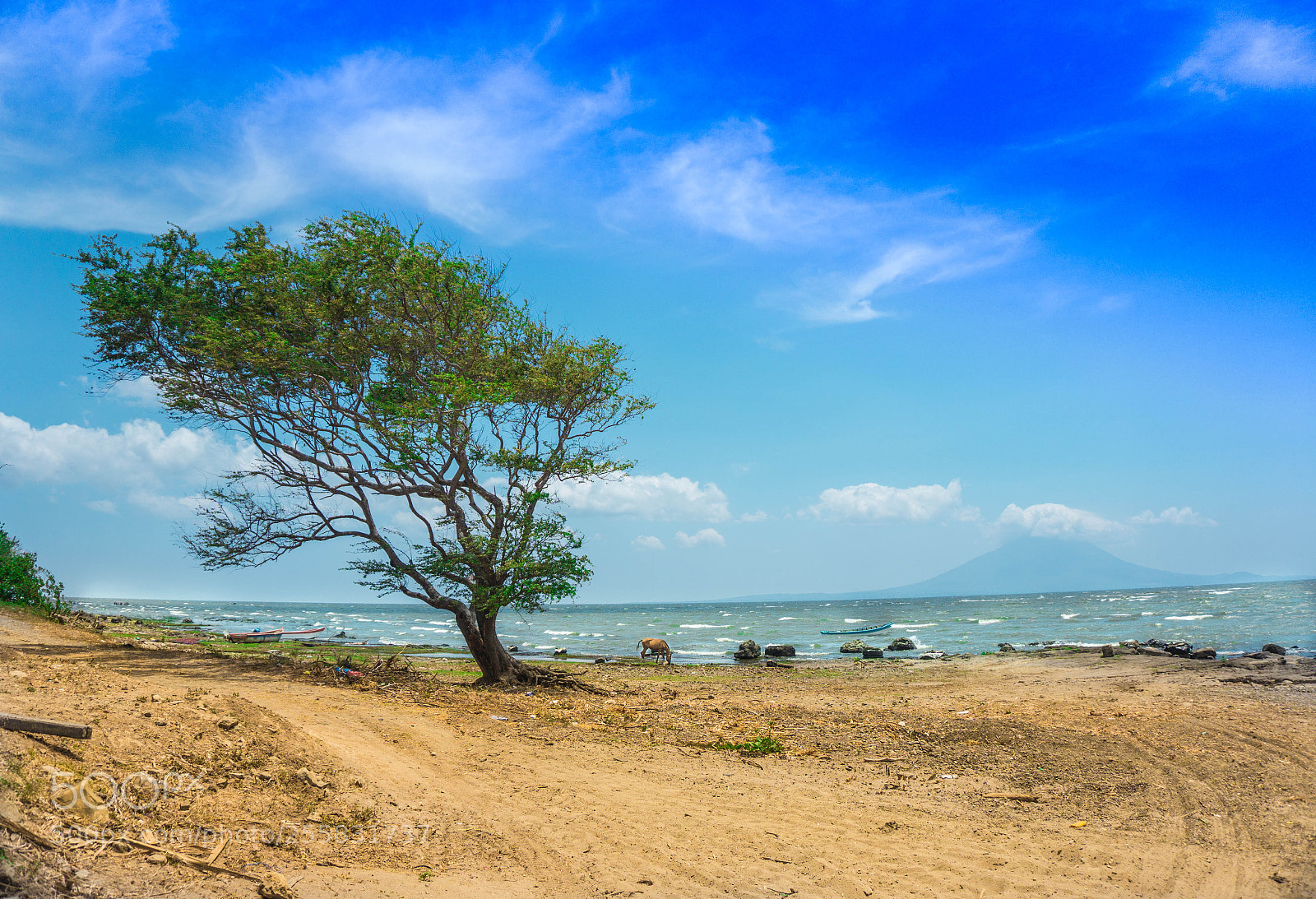 Sony a6000 sample photo. Lago photography