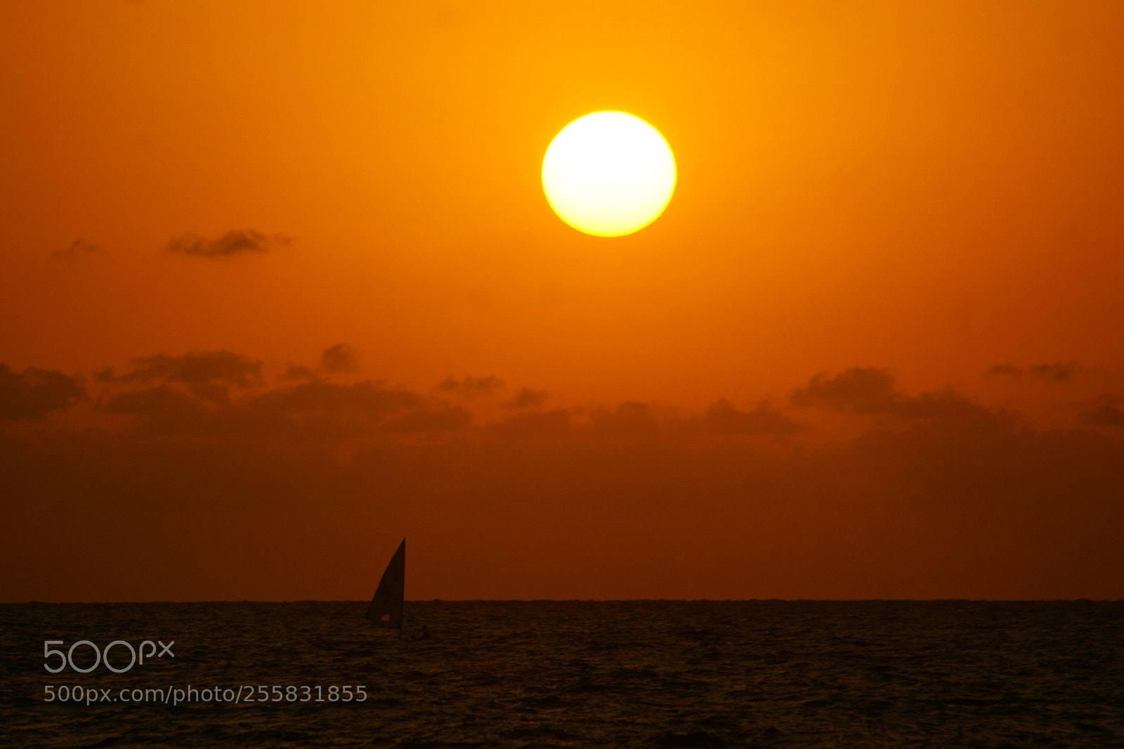 Sony Alpha DSLR-A100 sample photo. Sailing at sunset photography
