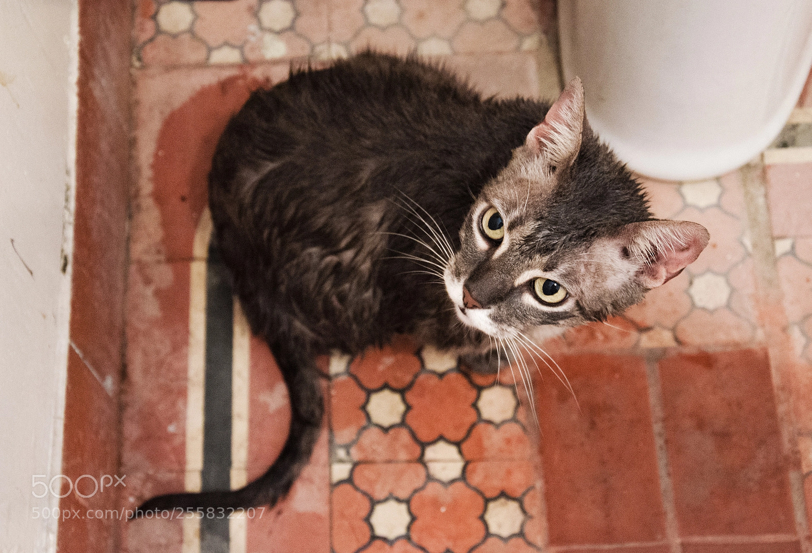 Nikon D7000 sample photo. - photography