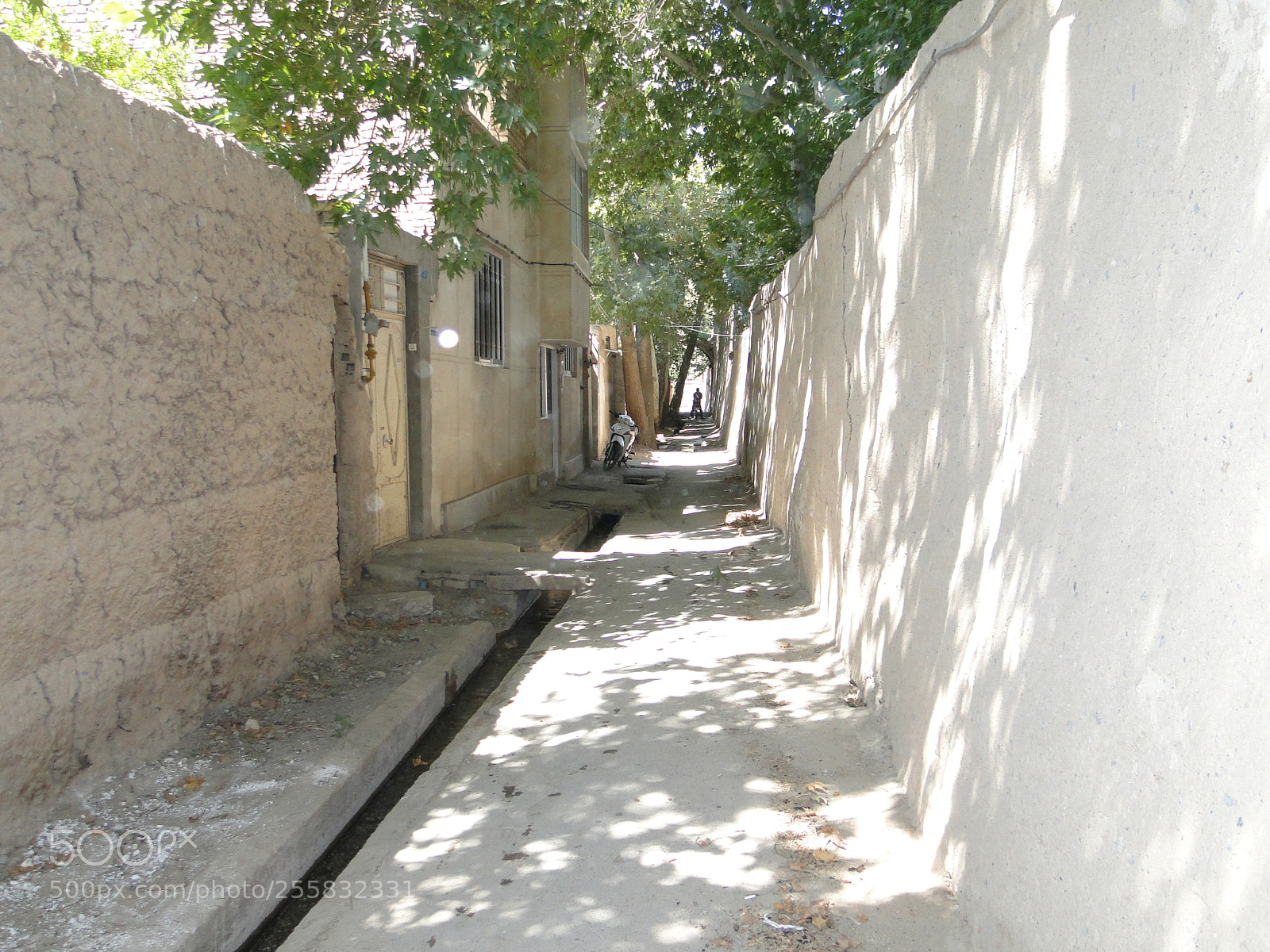 Sony Cyber-shot DSC-HX1 sample photo. Dsc photography