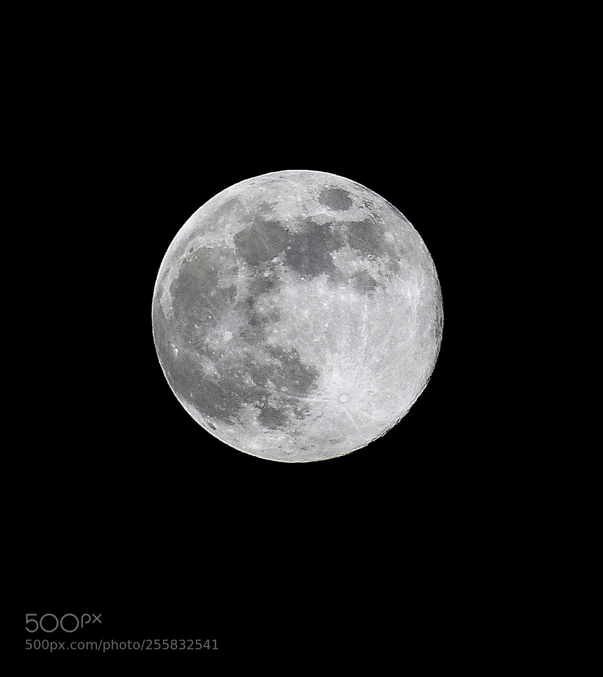 Panasonic Lumix DMC-FZ200 sample photo. April full moon photography