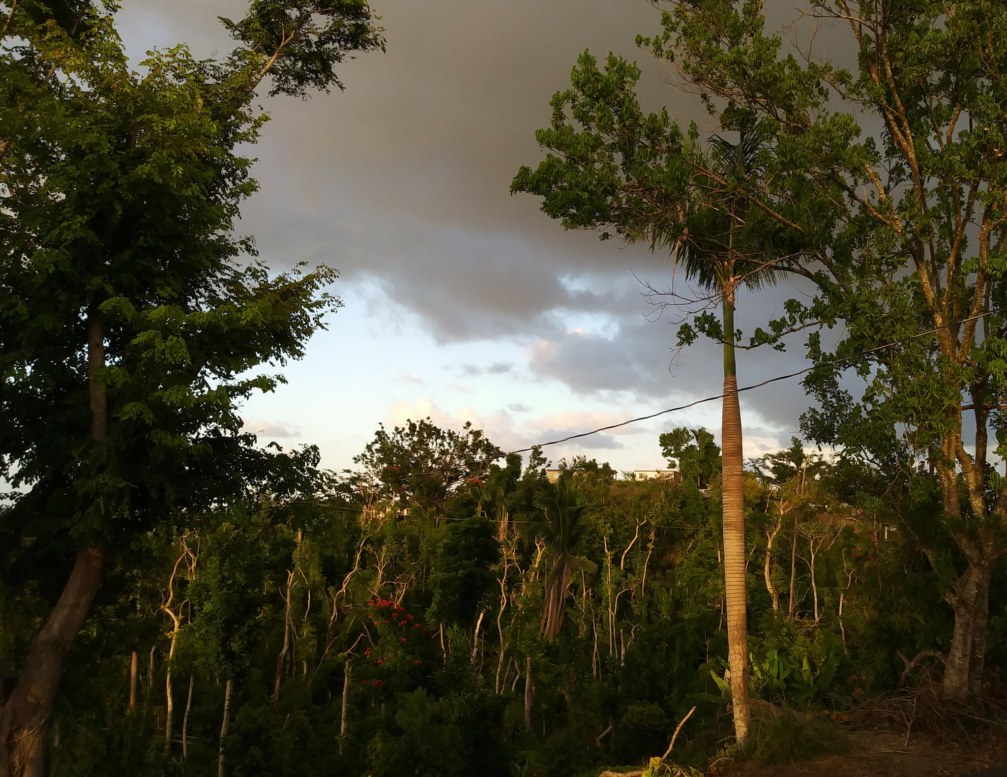 LG K20 PLUS sample photo. Beautiful  nature sunset,  puerto rico. photography