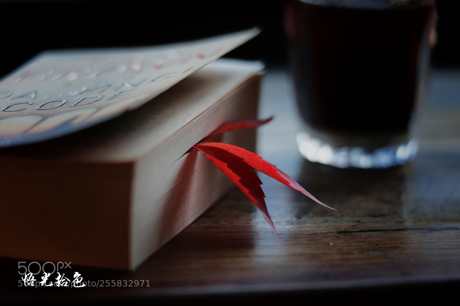 Canon EOS 5D Mark IV sample photo. Autumn break photography