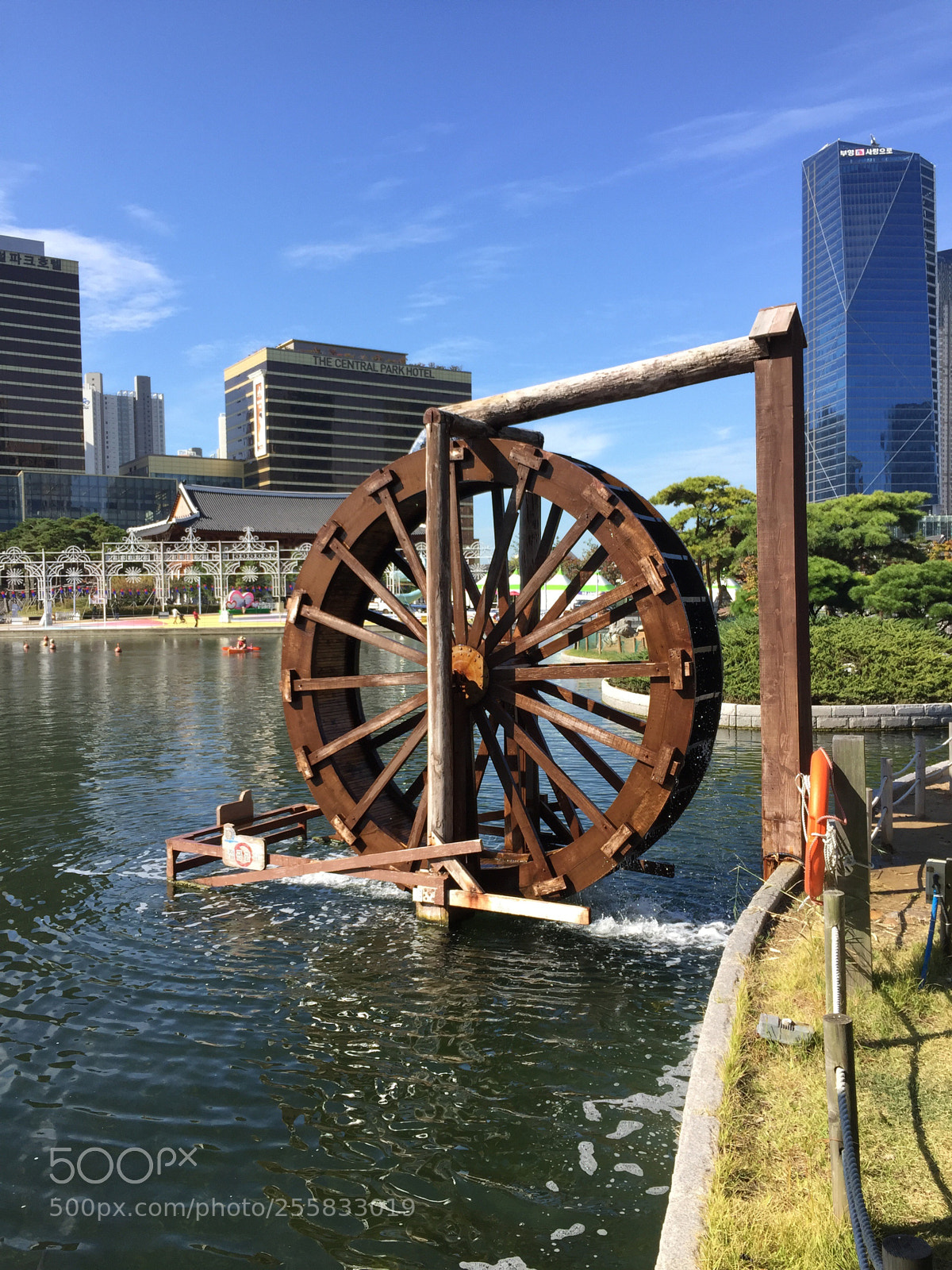 Apple iPhone 6 sample photo. Park photography