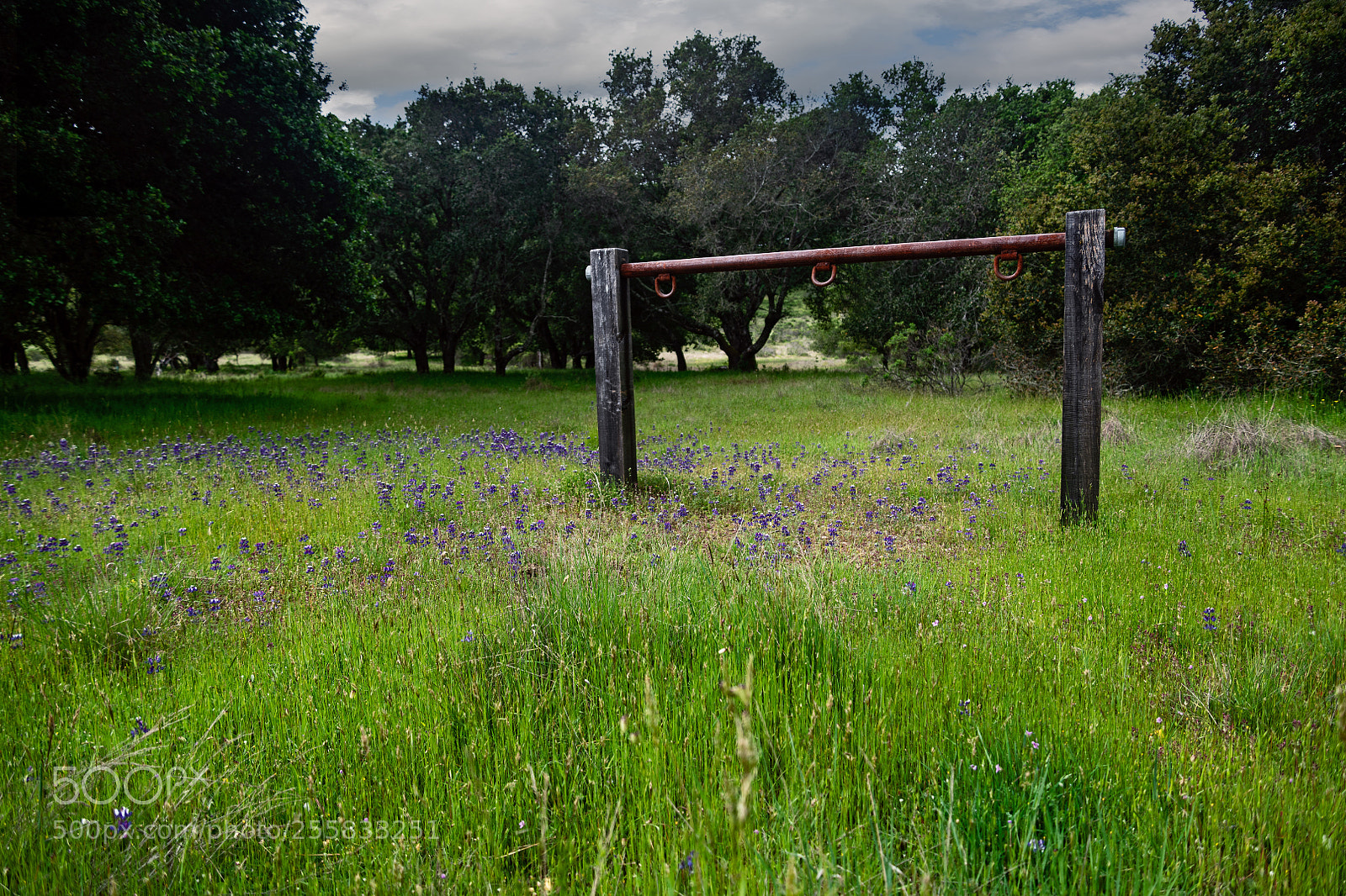 Nikon D850 sample photo. Hitching post in a photography