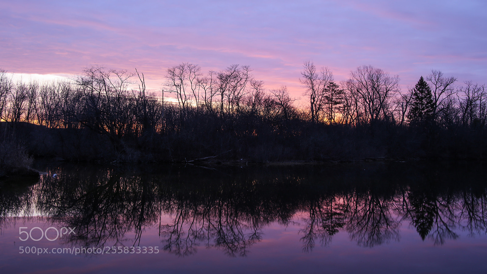 Canon EOS 6D sample photo. Untitled photography