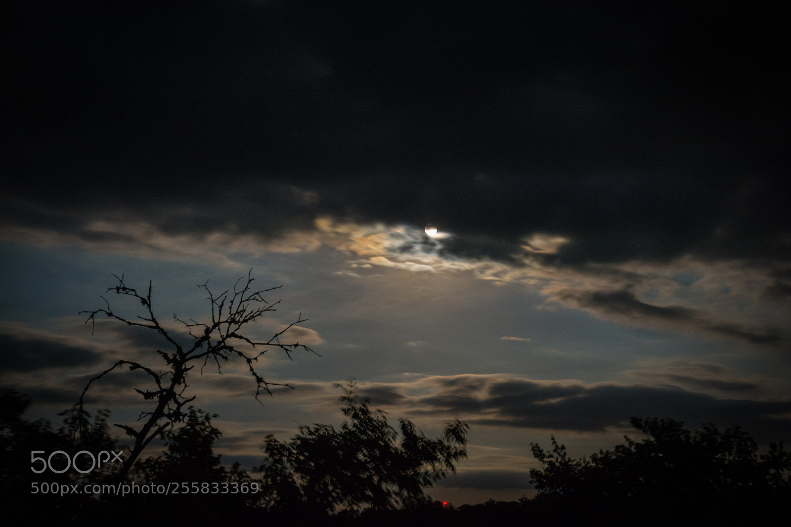 Nikon D7100 sample photo. Shy moon photography