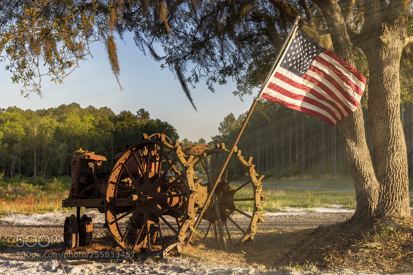 Canon EOS 5D Mark IV sample photo. A little americana photography