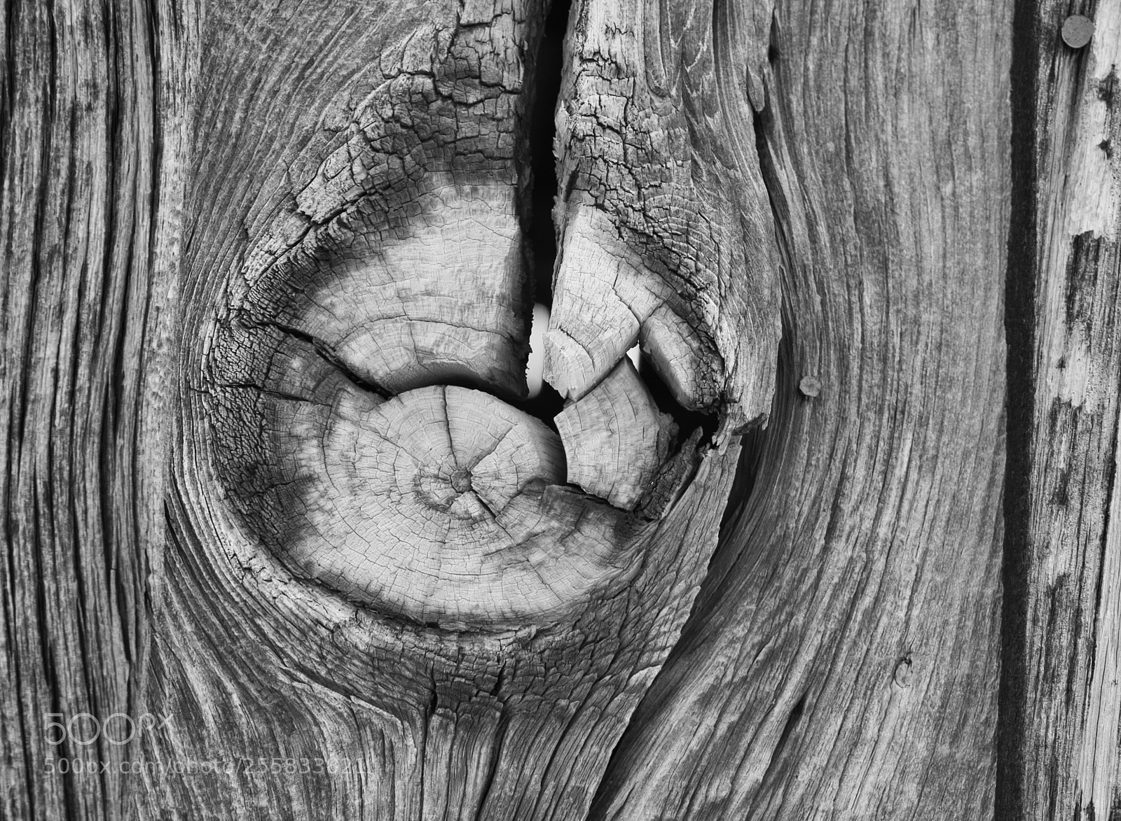 Sony a6000 sample photo. Frayed knot bw photography