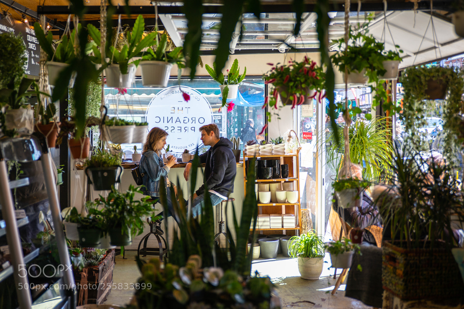 Canon EOS 5D Mark IV sample photo. Love in the jungle photography