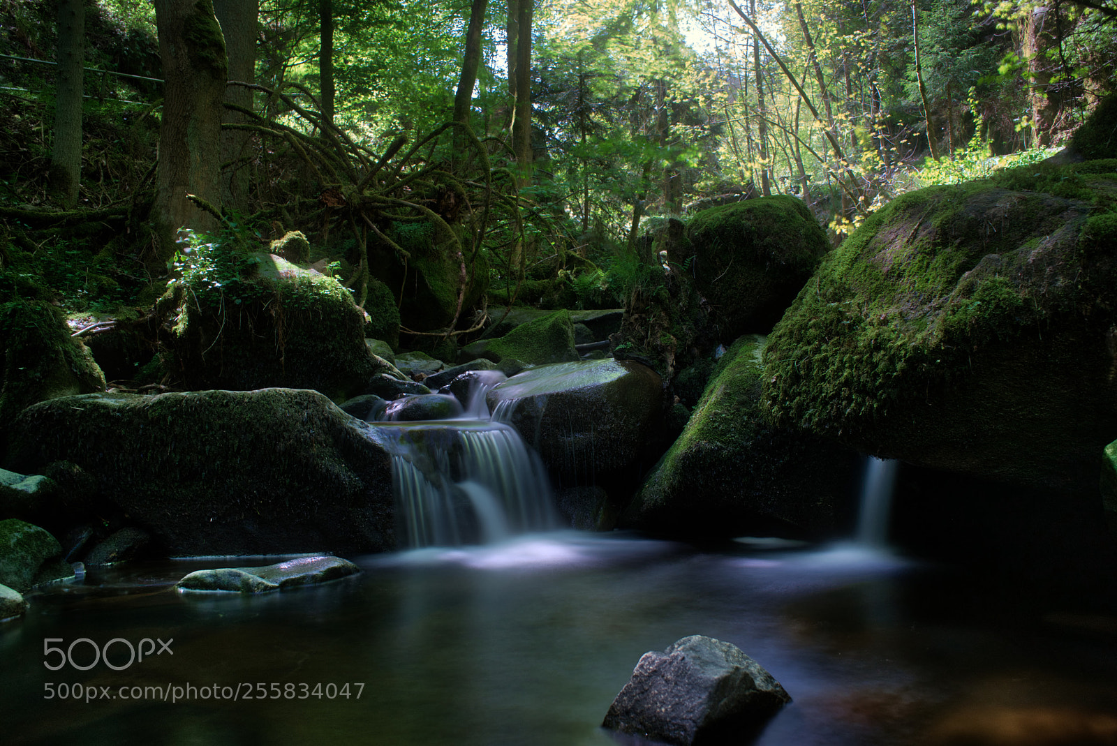 Sony a7 sample photo. Lauterbacher wasserf lle in photography