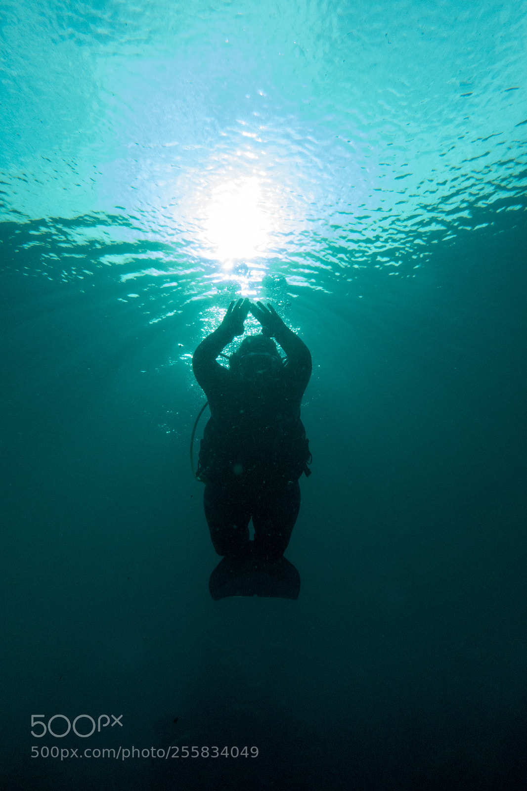 Sony DSC-RX100M5 sample photo. Mermaid scuba diver photography
