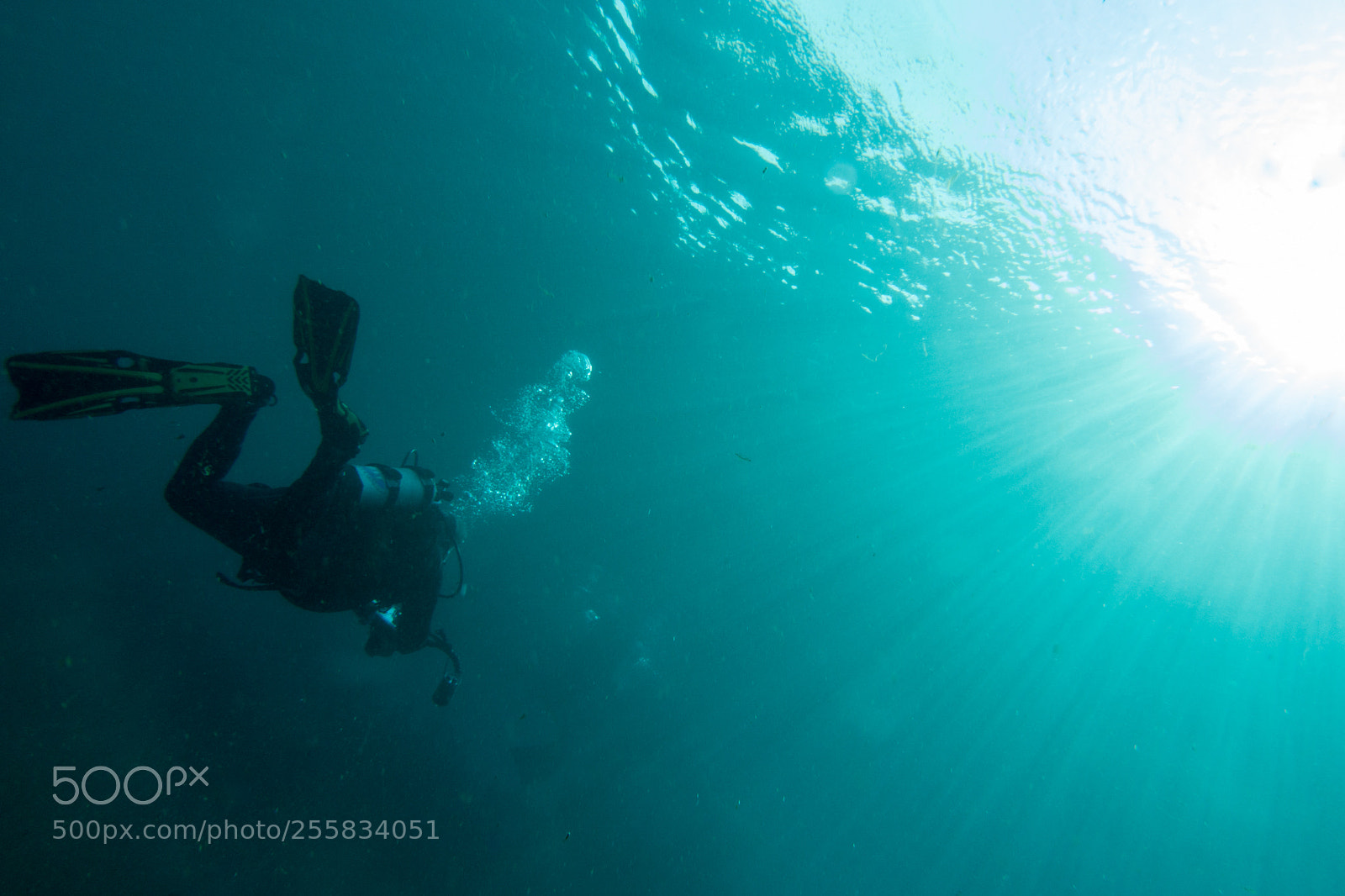 Sony DSC-RX100M5 sample photo. Scuba diver photography