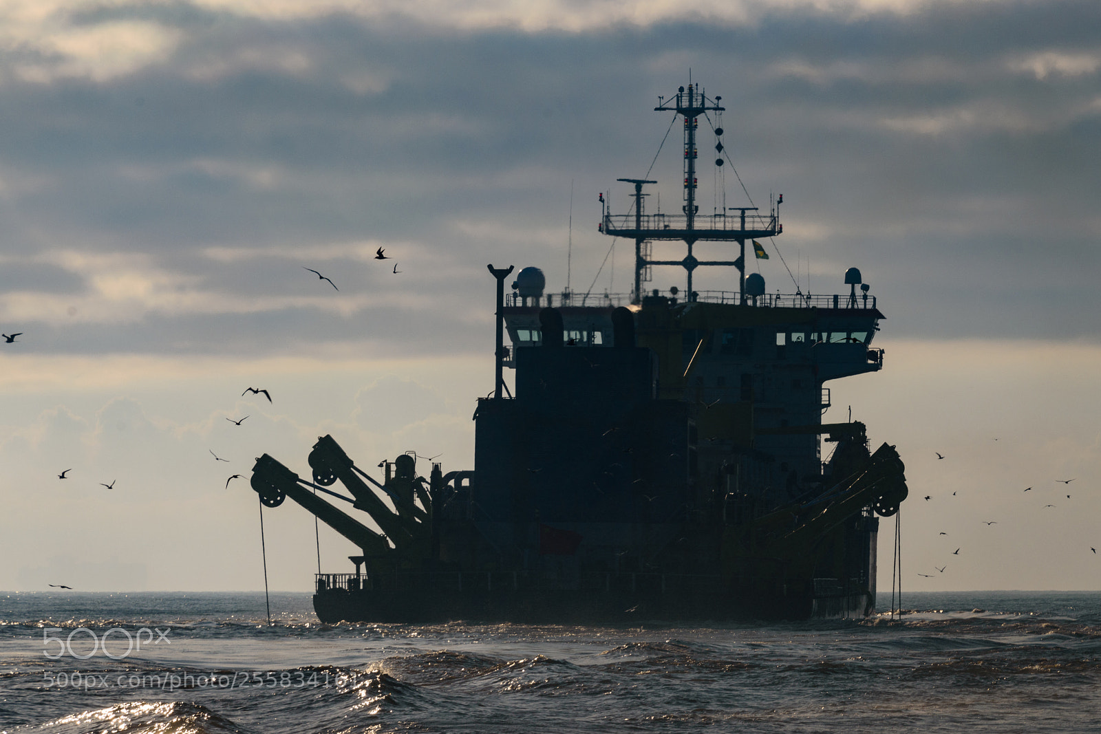 Nikon D5600 sample photo. Dredger in action photography